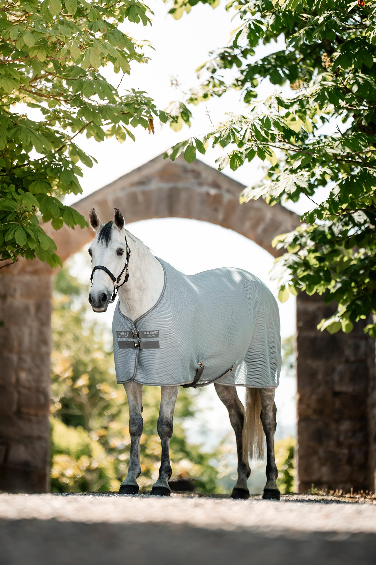 Horseware Amigo AirNet viilennysloimi