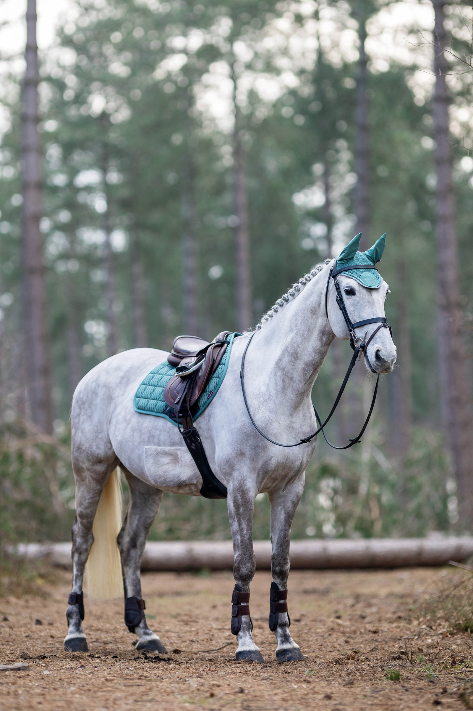 LeMieux klassinen korvahuppu