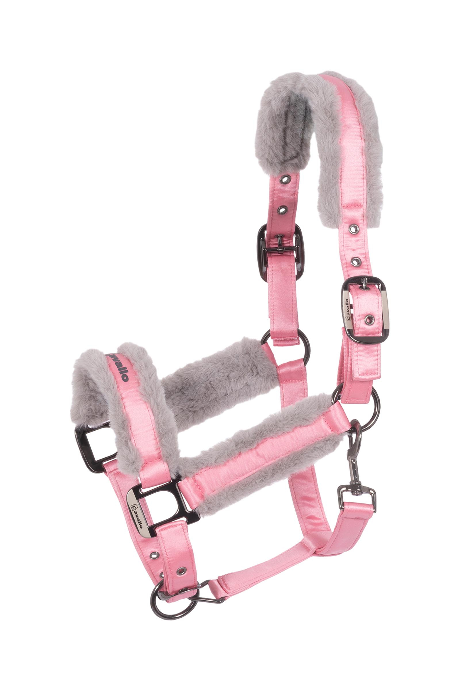 Powder Pink Cavallo CAVALJERO riimu