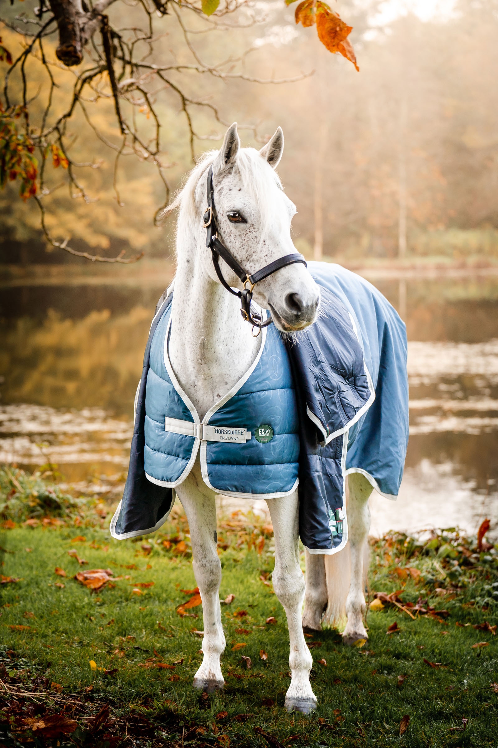 Horseware AmEco alusloimi, 100 g