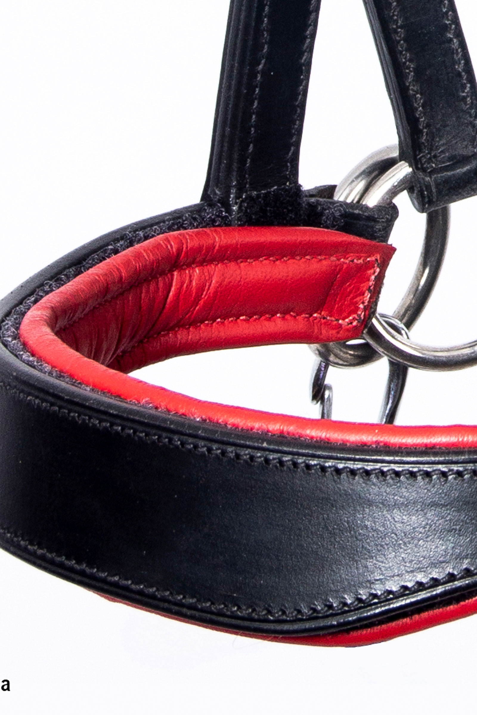 F.R.A. Freedom Riding Articles Aruba kuolaimettomat suitset ohjilla (System 3)