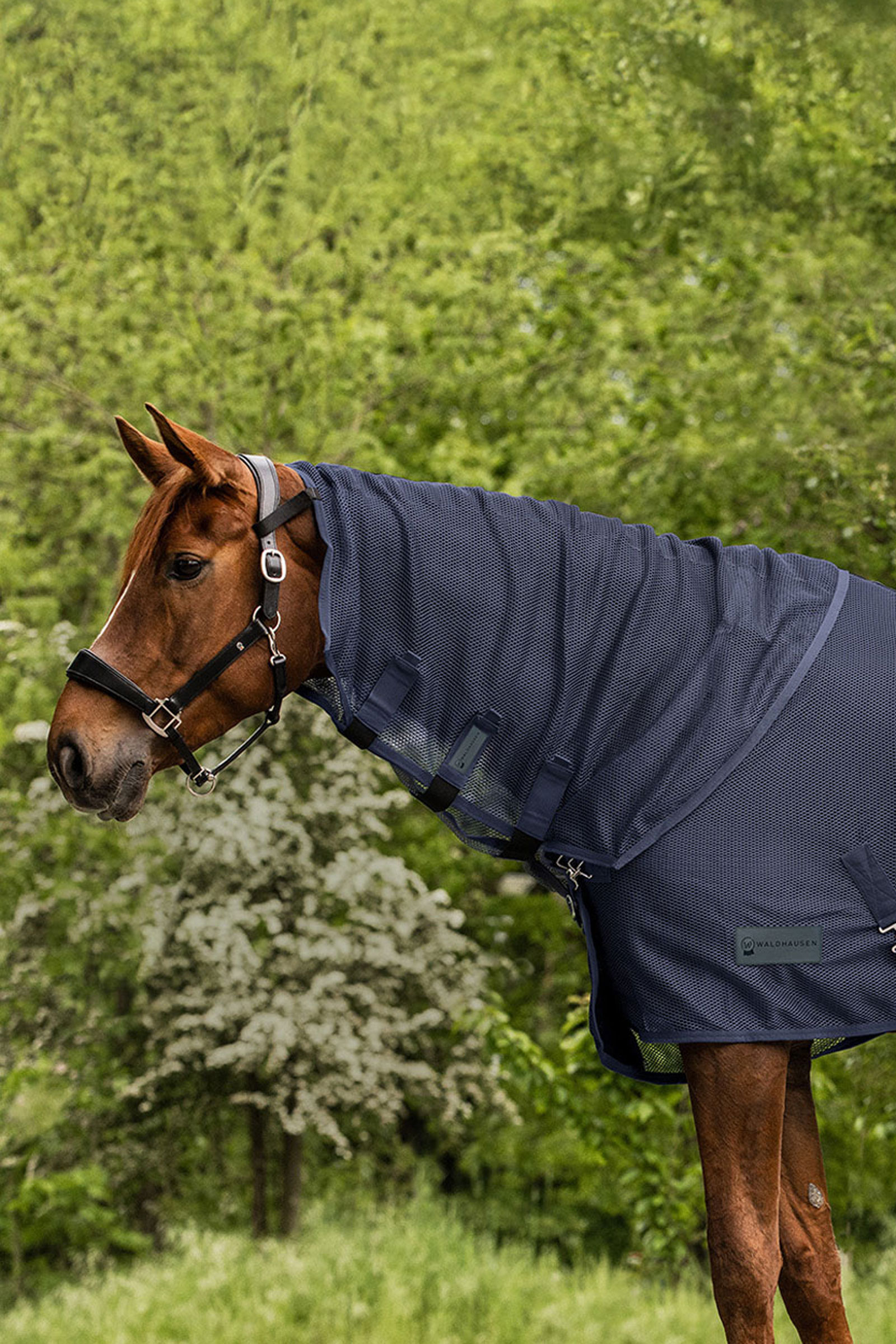 Night Blue Waldhausen Comfort k&auml;rp&auml;ssuojakaulakappale