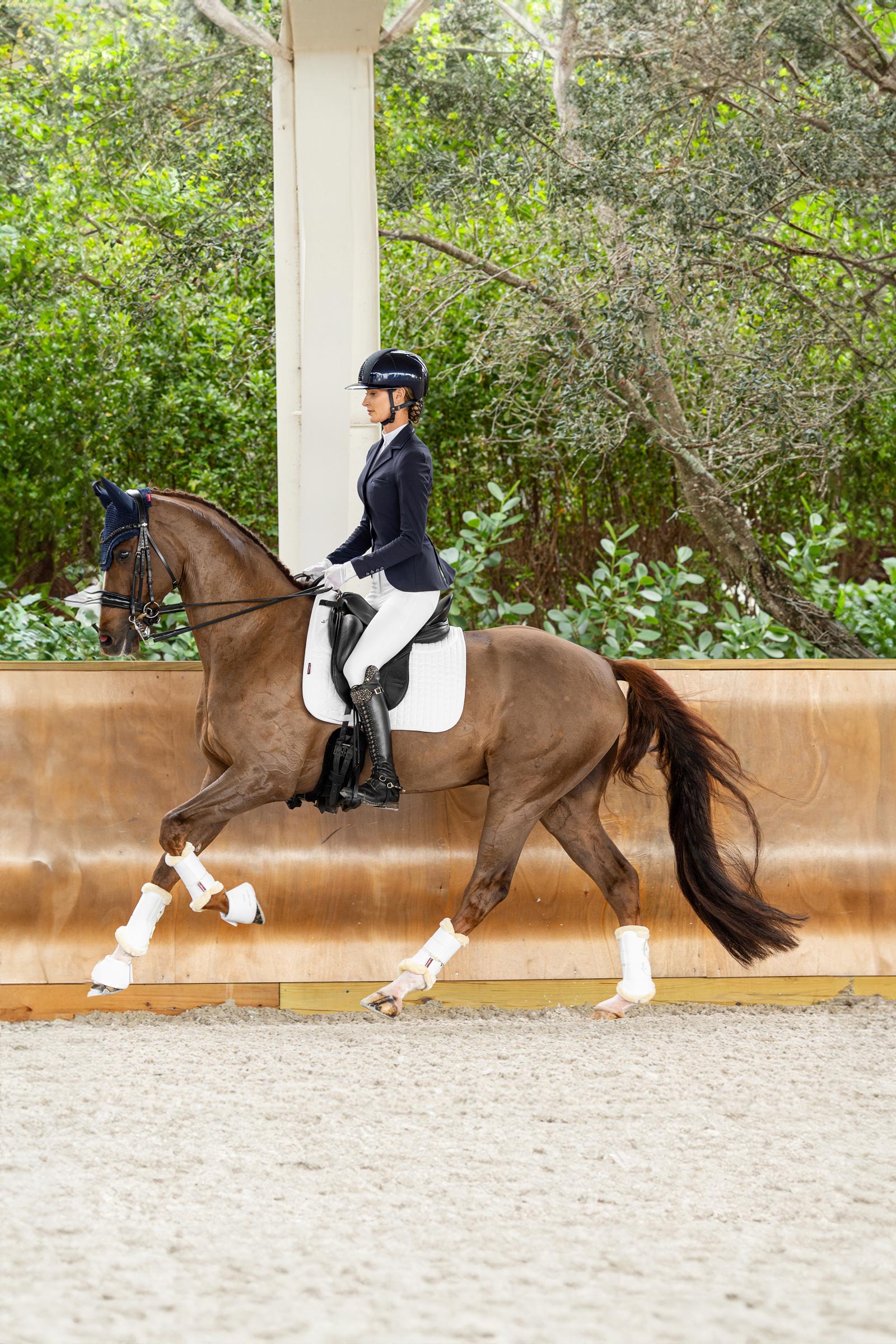 LeMieux Prosorb Plain 2 Pocket DR Square