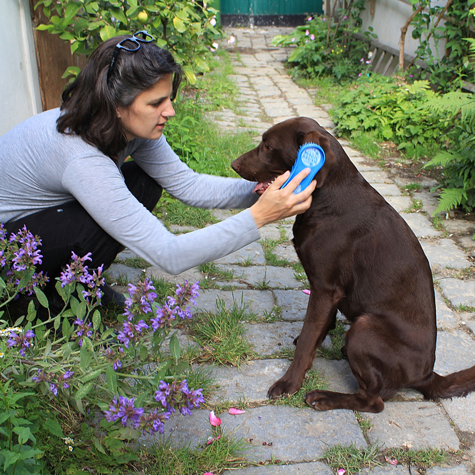 Kerbl Magic koiran harja