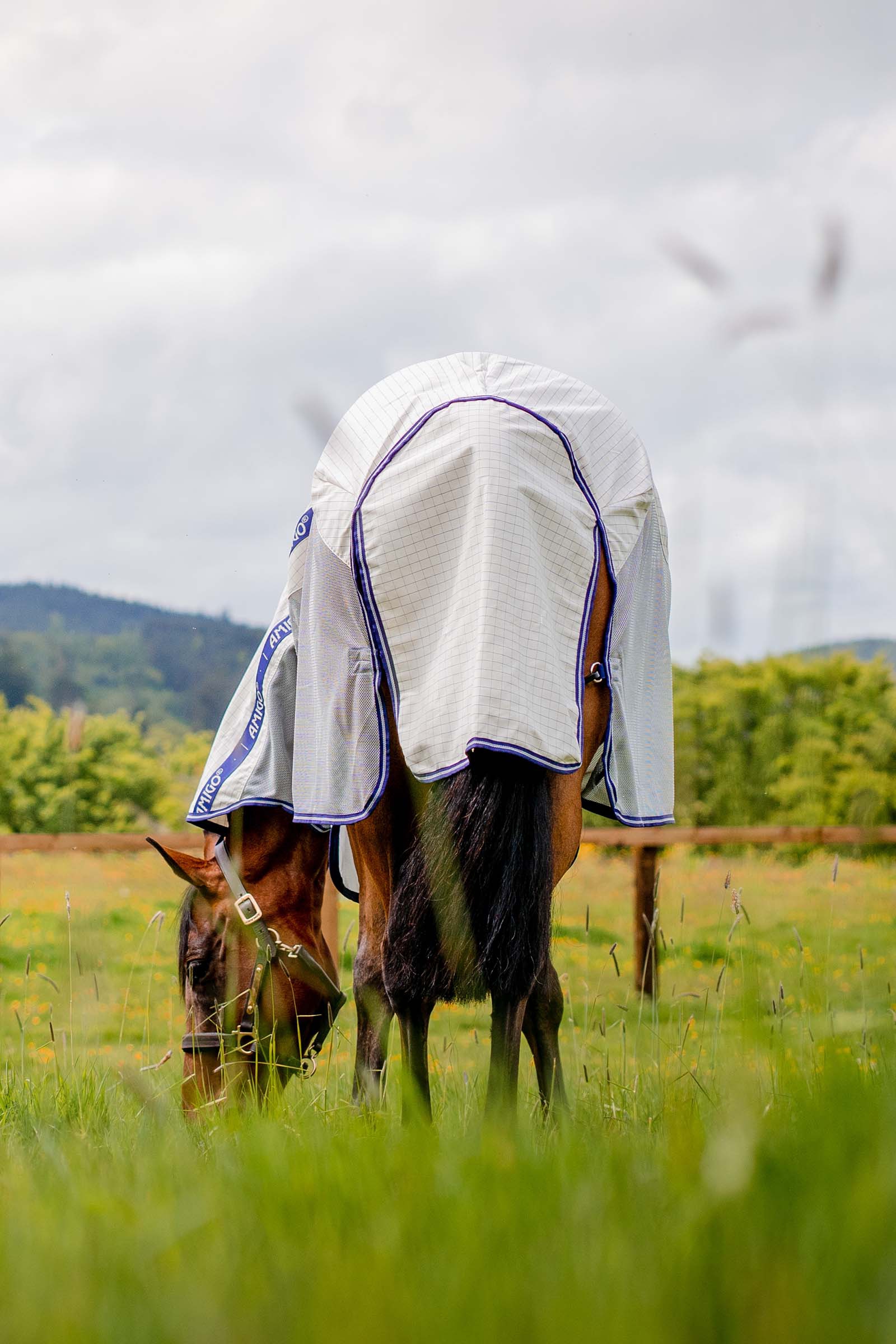 Horseware Amigo Airflow hy&ouml;nteisloimi irrotettavalla kaulaosalla