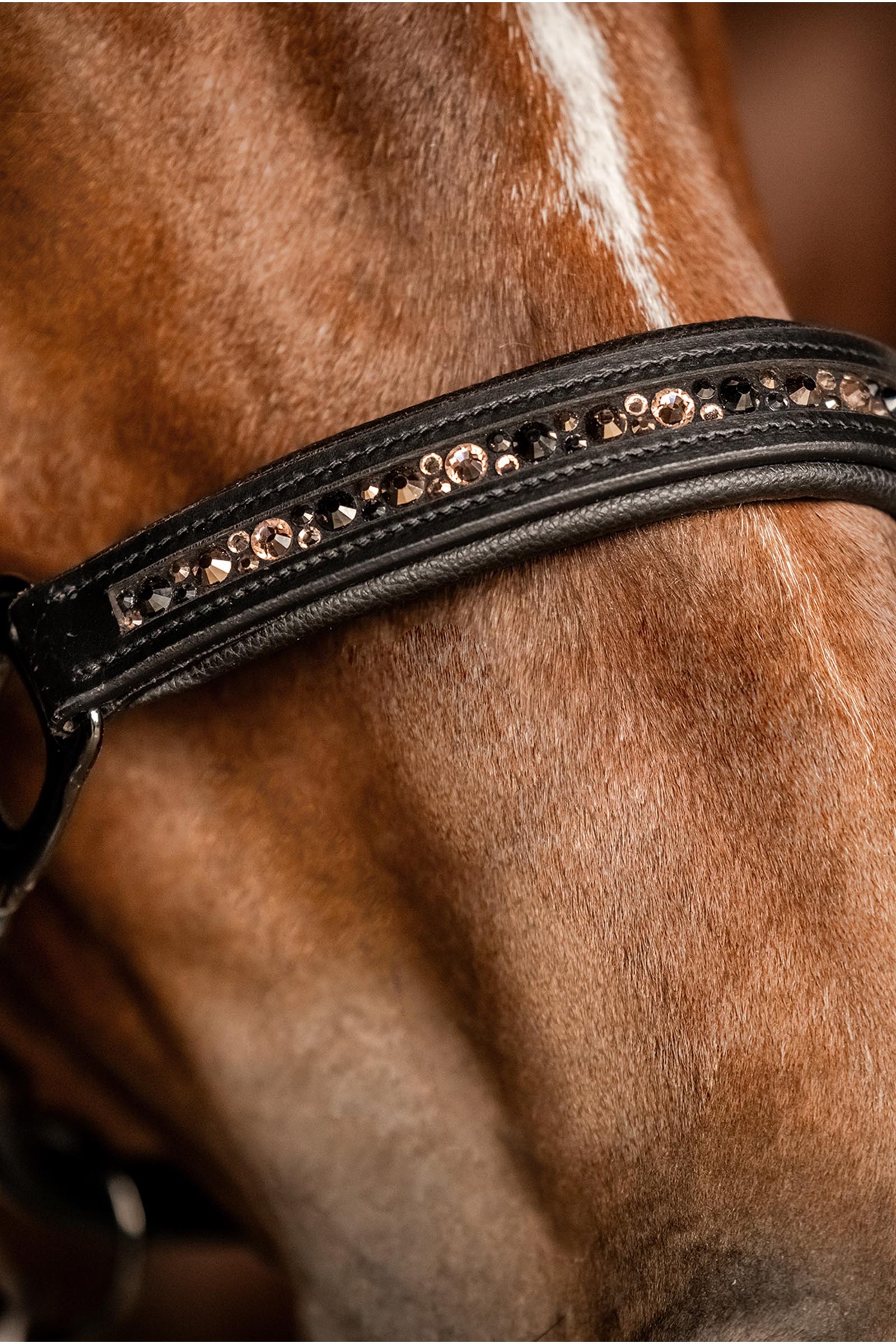 Waldhausen X-Line Crystal Nahkarihmu