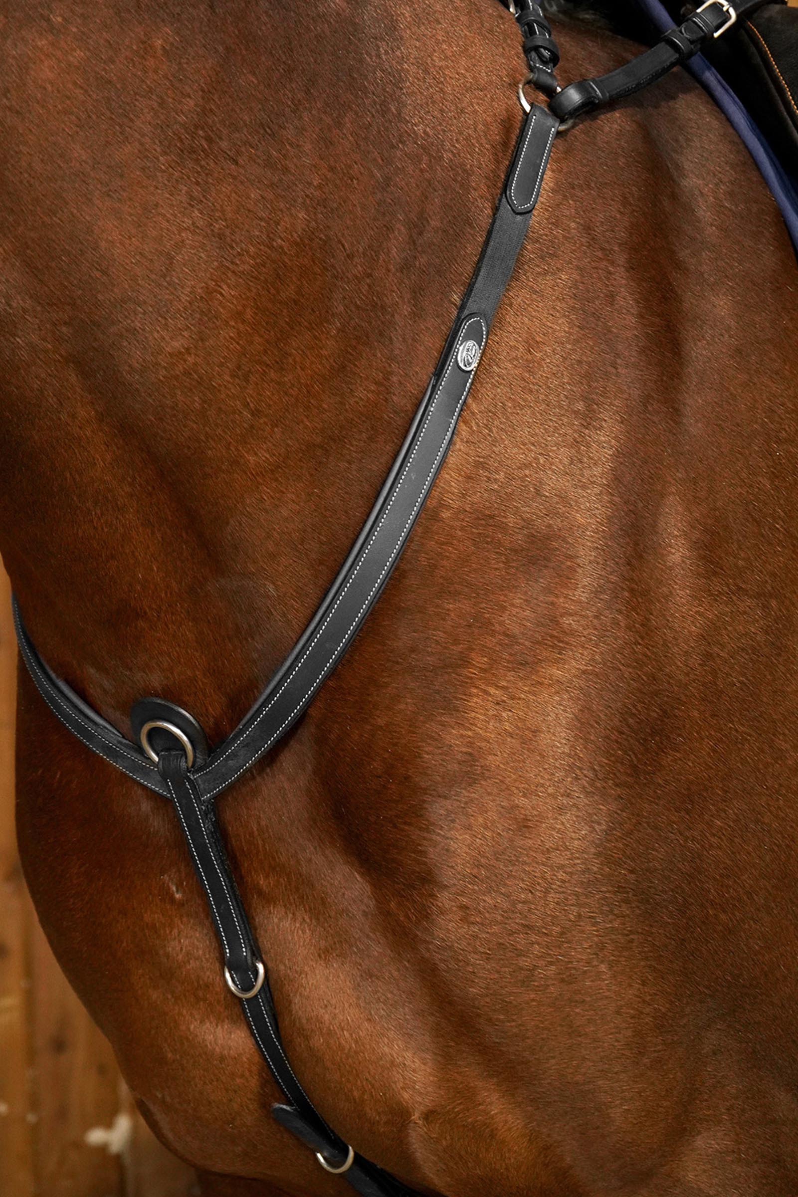 Dy'on Working rintaremmi sillalla