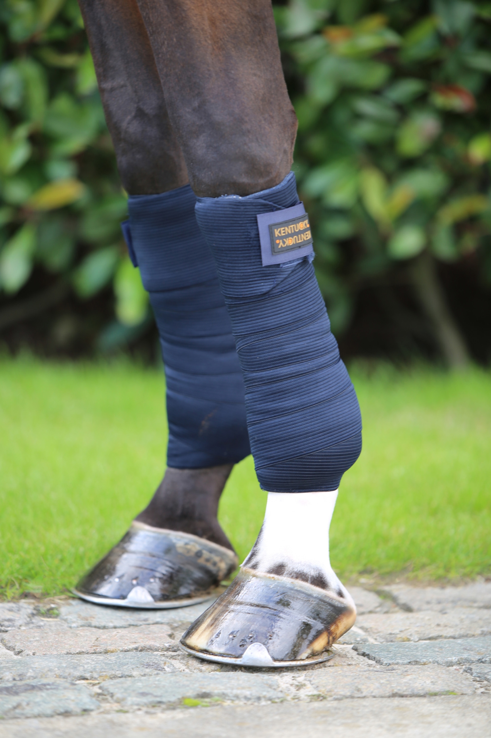 Kentucky Horsewear joustopintelit