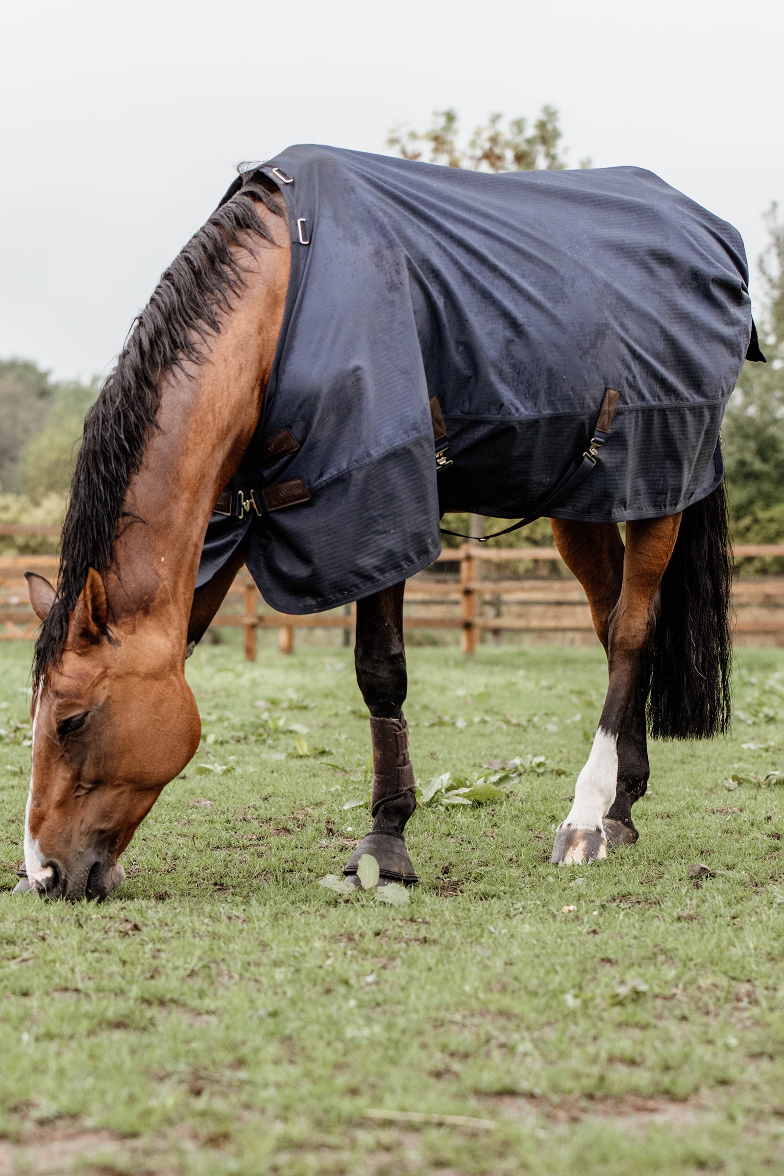 Kentucky Horsewear All Weather ulkoloimi, 300 g