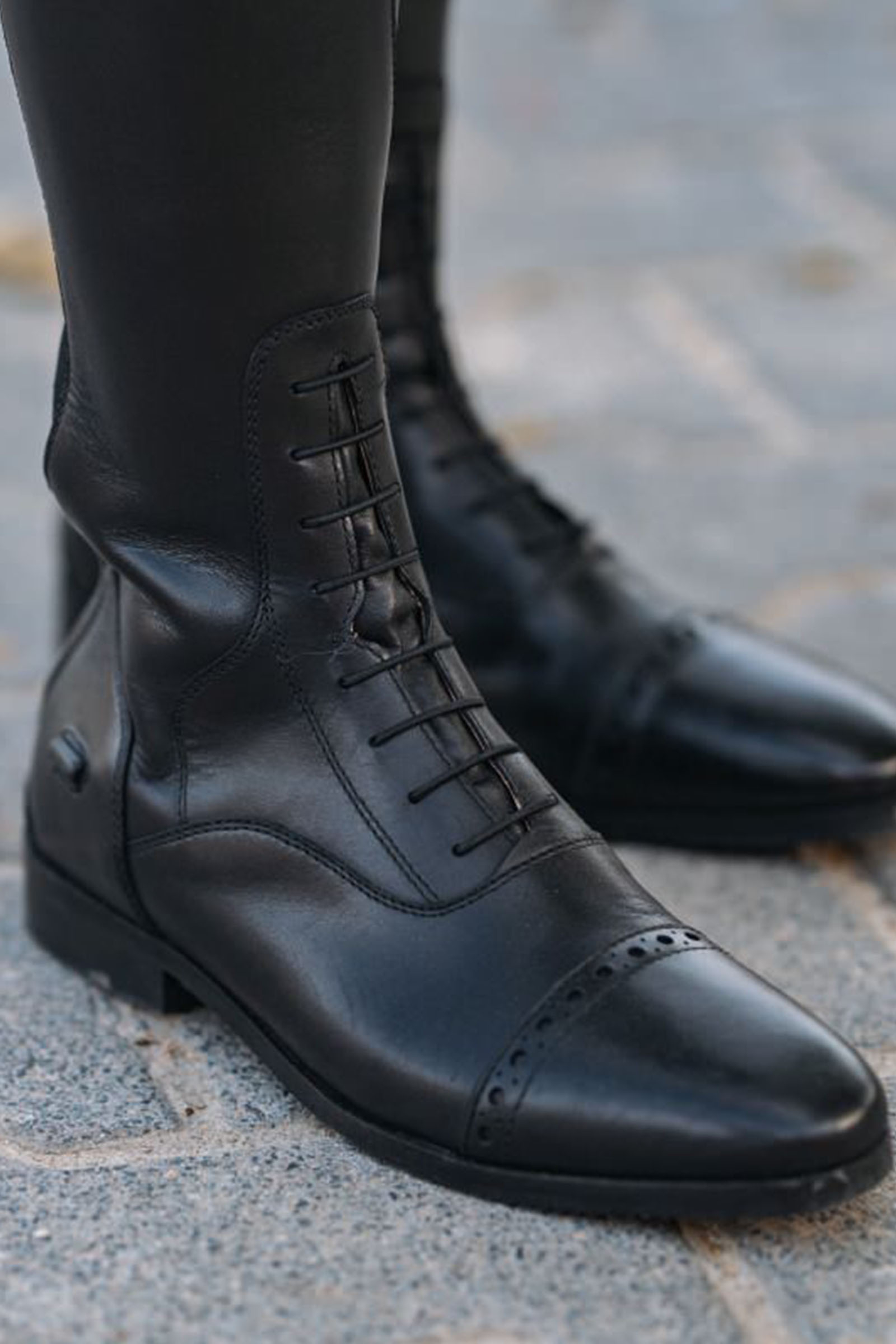 Suedwind Footwear Florentina Korkeat Ratsastussaappaat