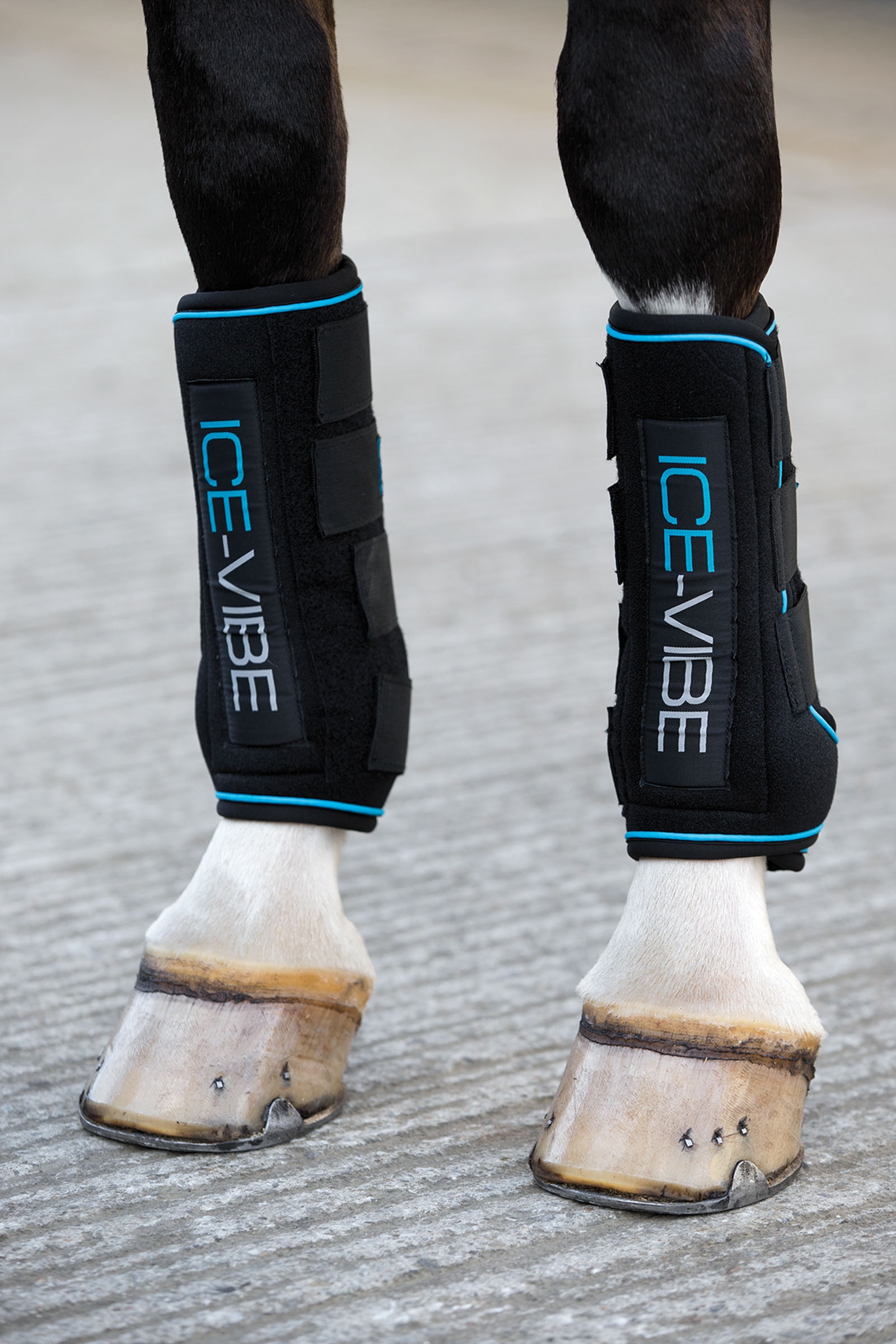 Horseware Ice-Vibe kylmäyssuojat