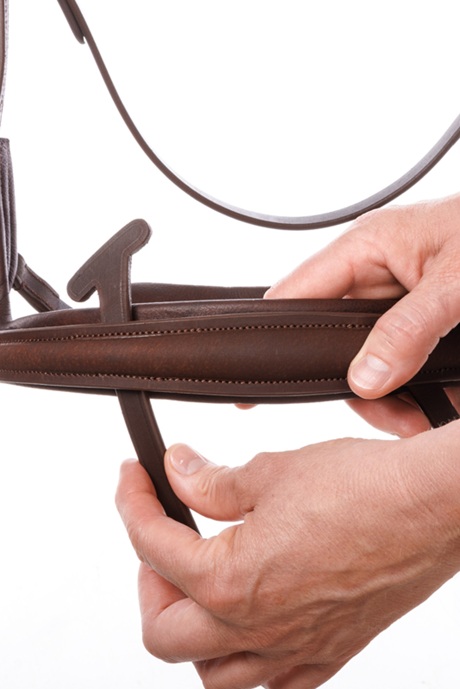 Kavalkade Caliano Englannin Kuolaimet