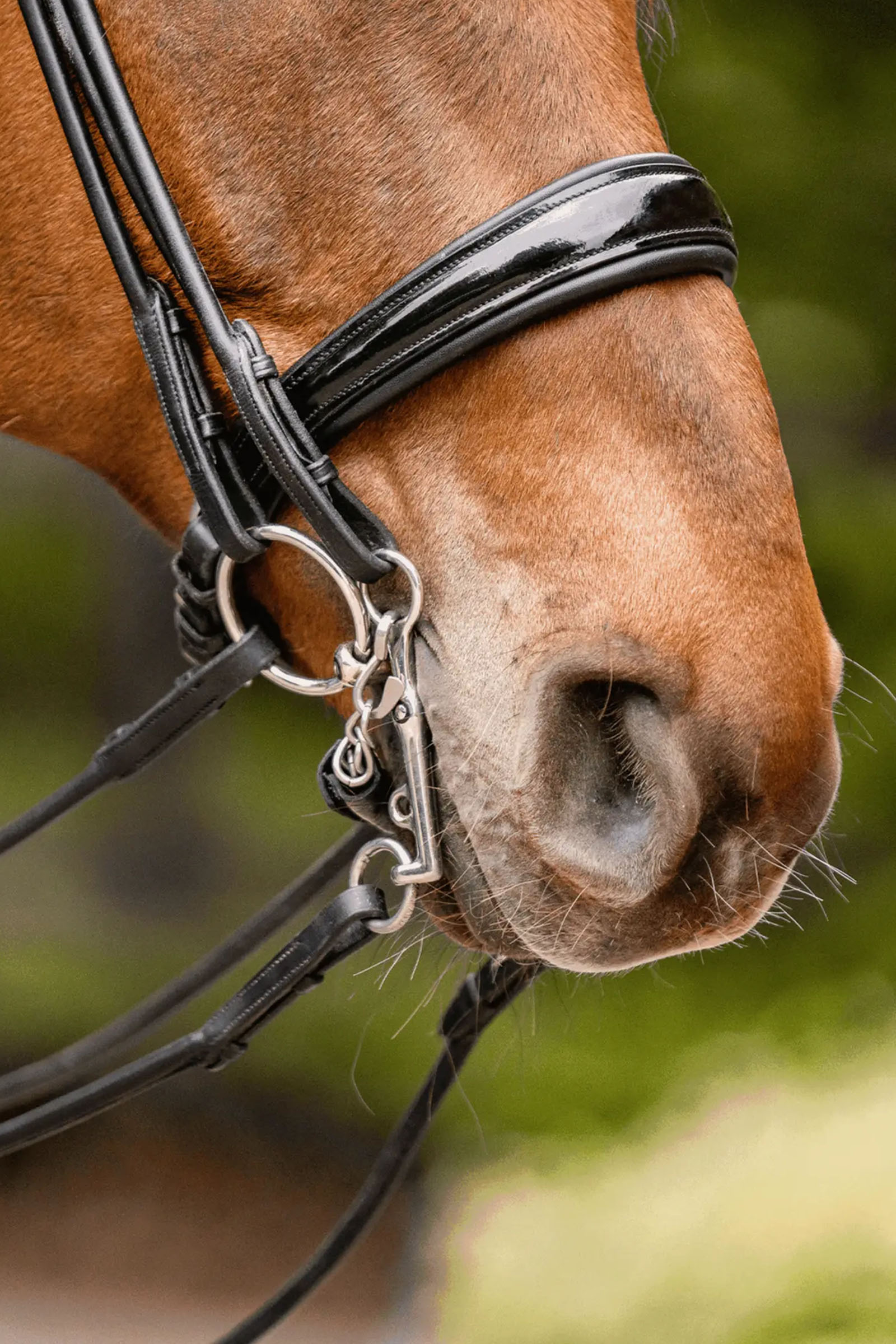 Sprenger Novocontact Weymouth 14mm Sensogan 5cm ruostumattomilla ter&auml;skuolaimilla