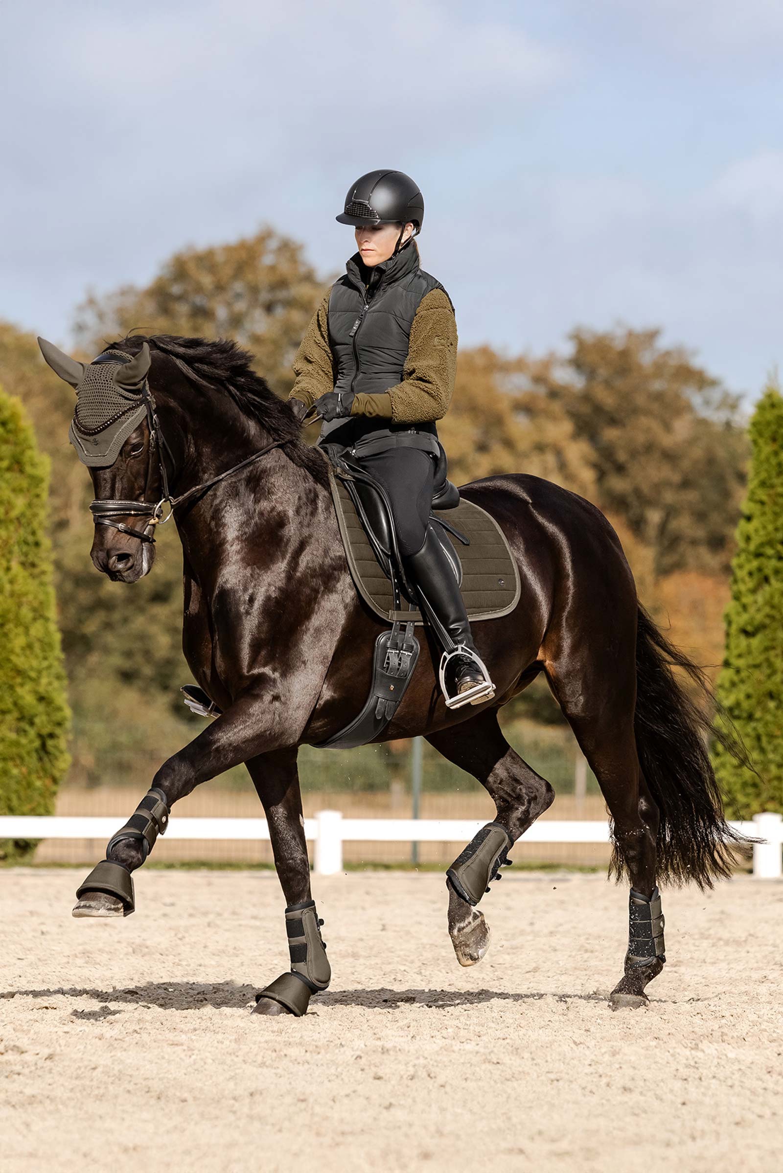 Waldhausen St. Gallen monik&auml;ytt&ouml;inen satulatyyny 