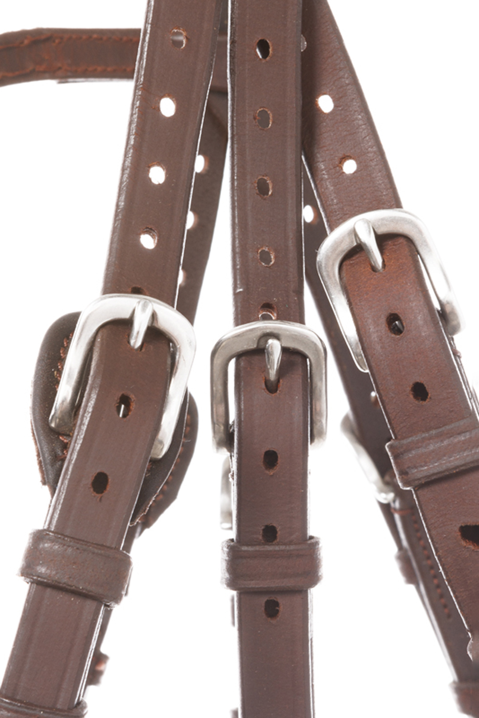 Kavalkade suitset Everlyn crank turparemmillä ja leukahihnalla