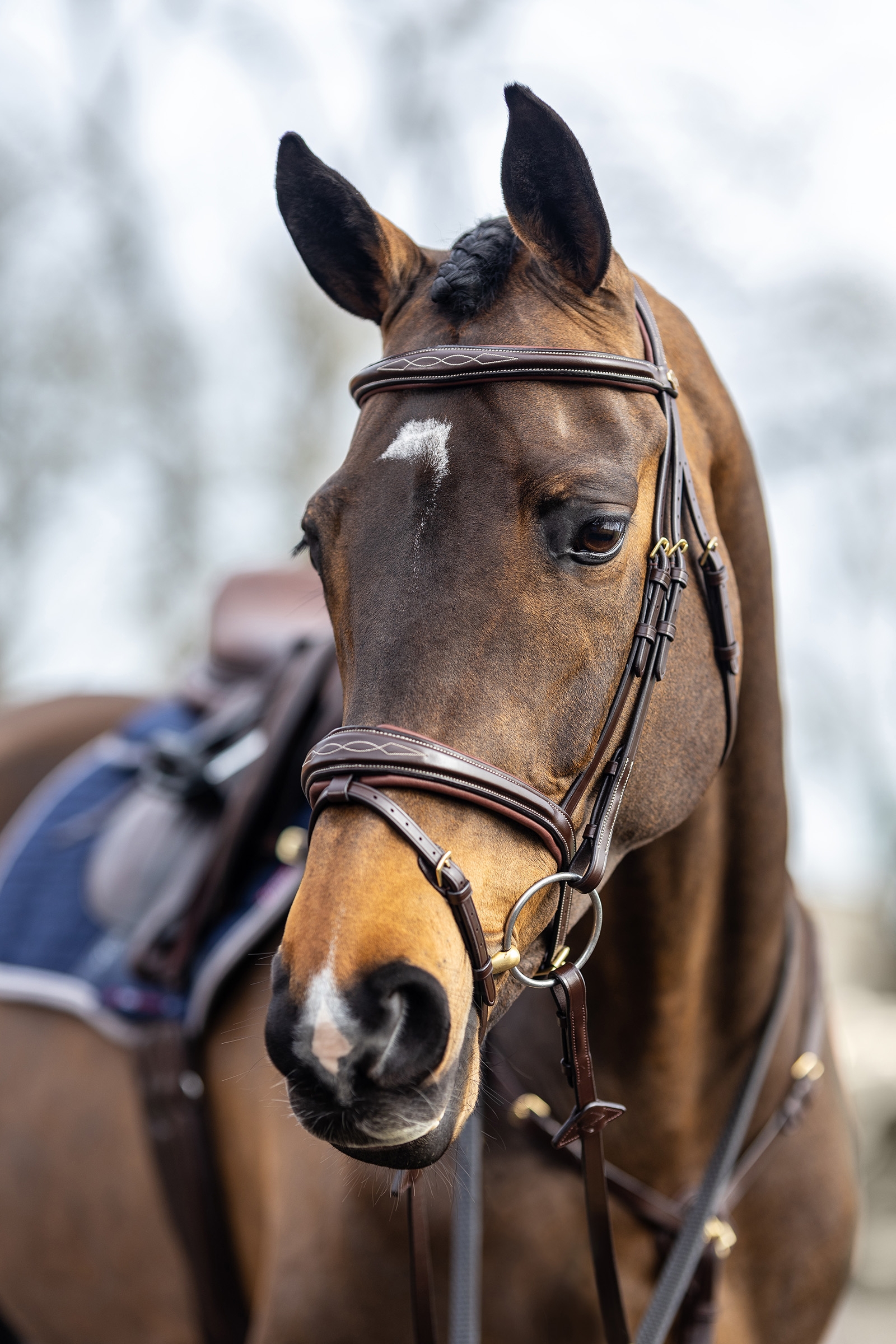 LeMieux Competiton Flash Bridle