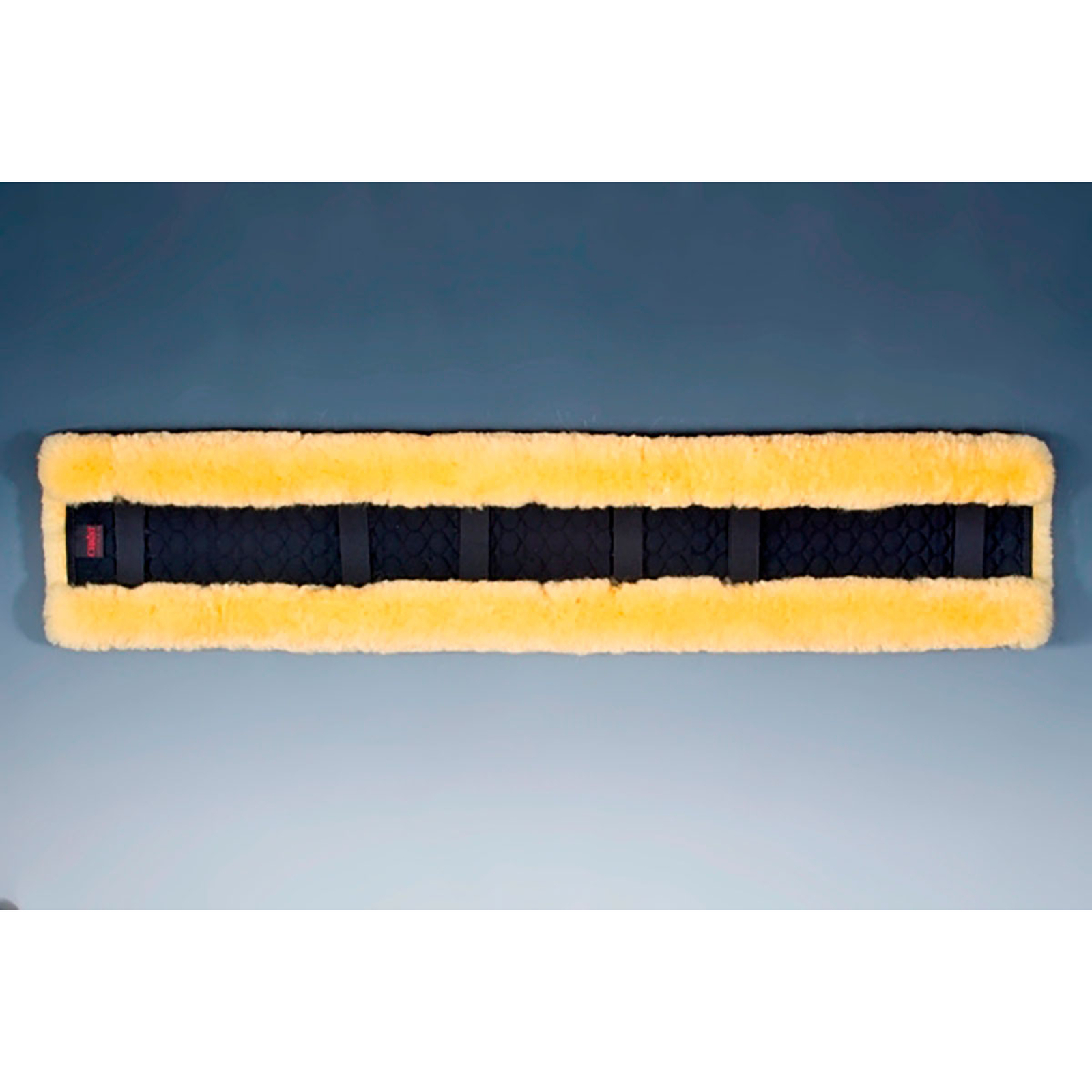 Christ silatyyny, 100