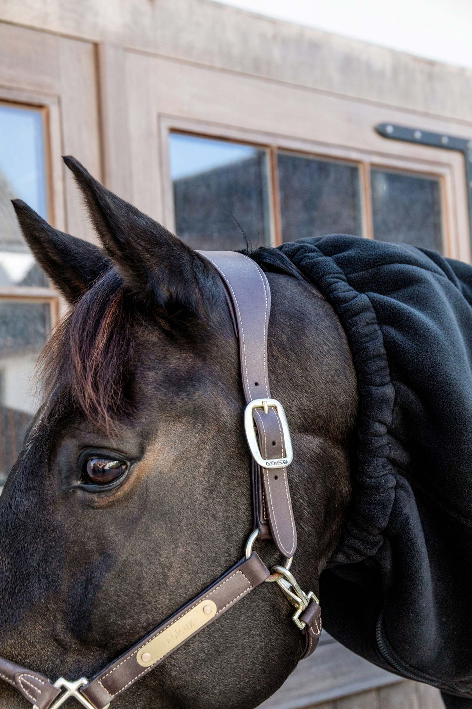 Kentucky Horsewear Heavy Fleece Horse scarf