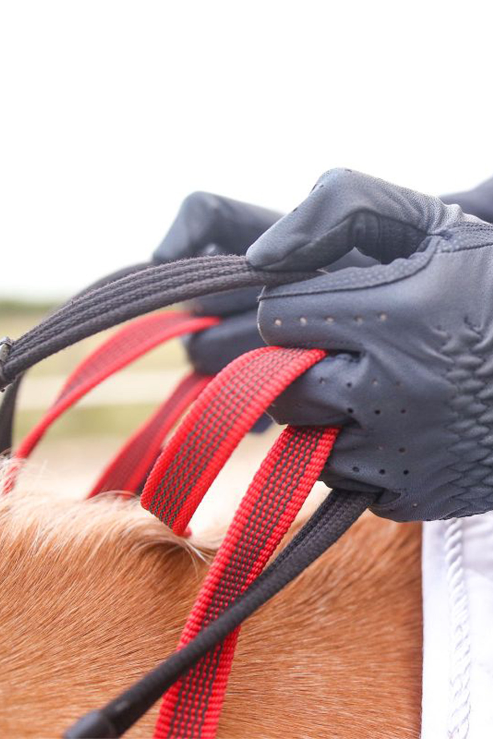 Waldhausen Secutrust Rintaremmi turvallisilla ohjaksilla