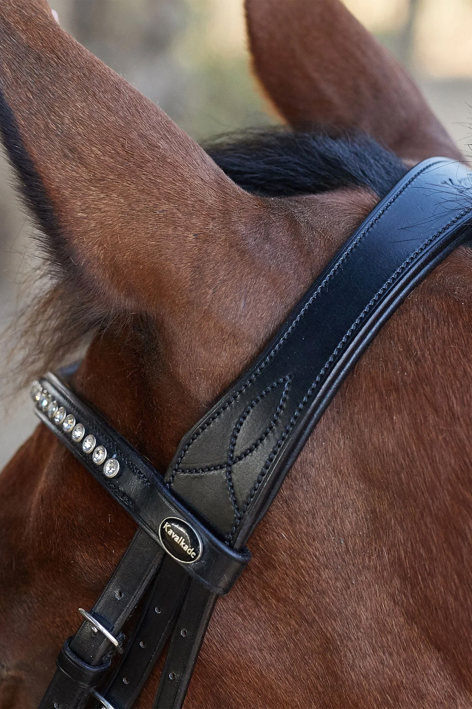 Kavalkade Charlotte koulusuitset pullback-turpahihnalla