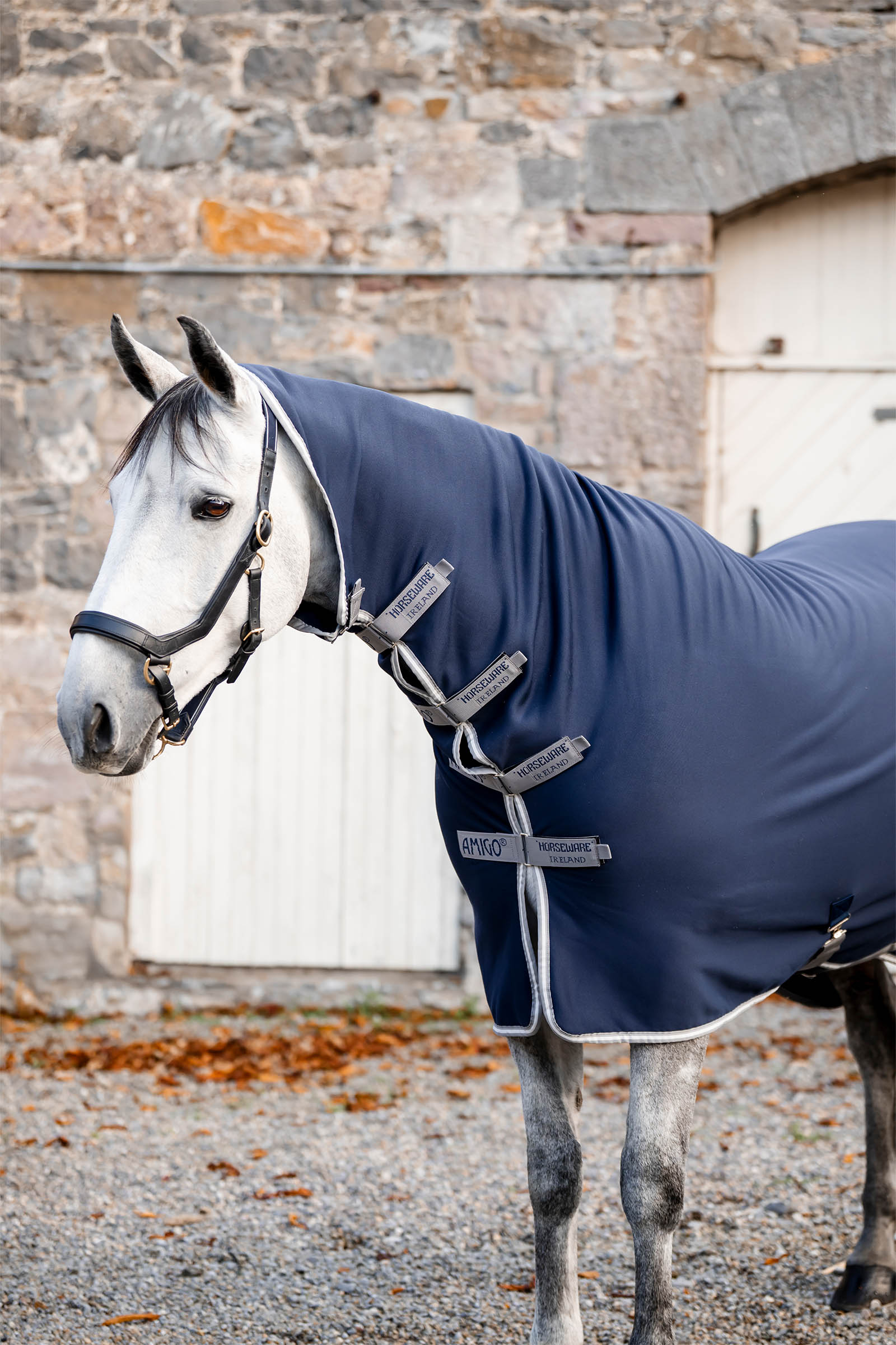 Horseware Amigo Jersey -integroitu Siisti matto