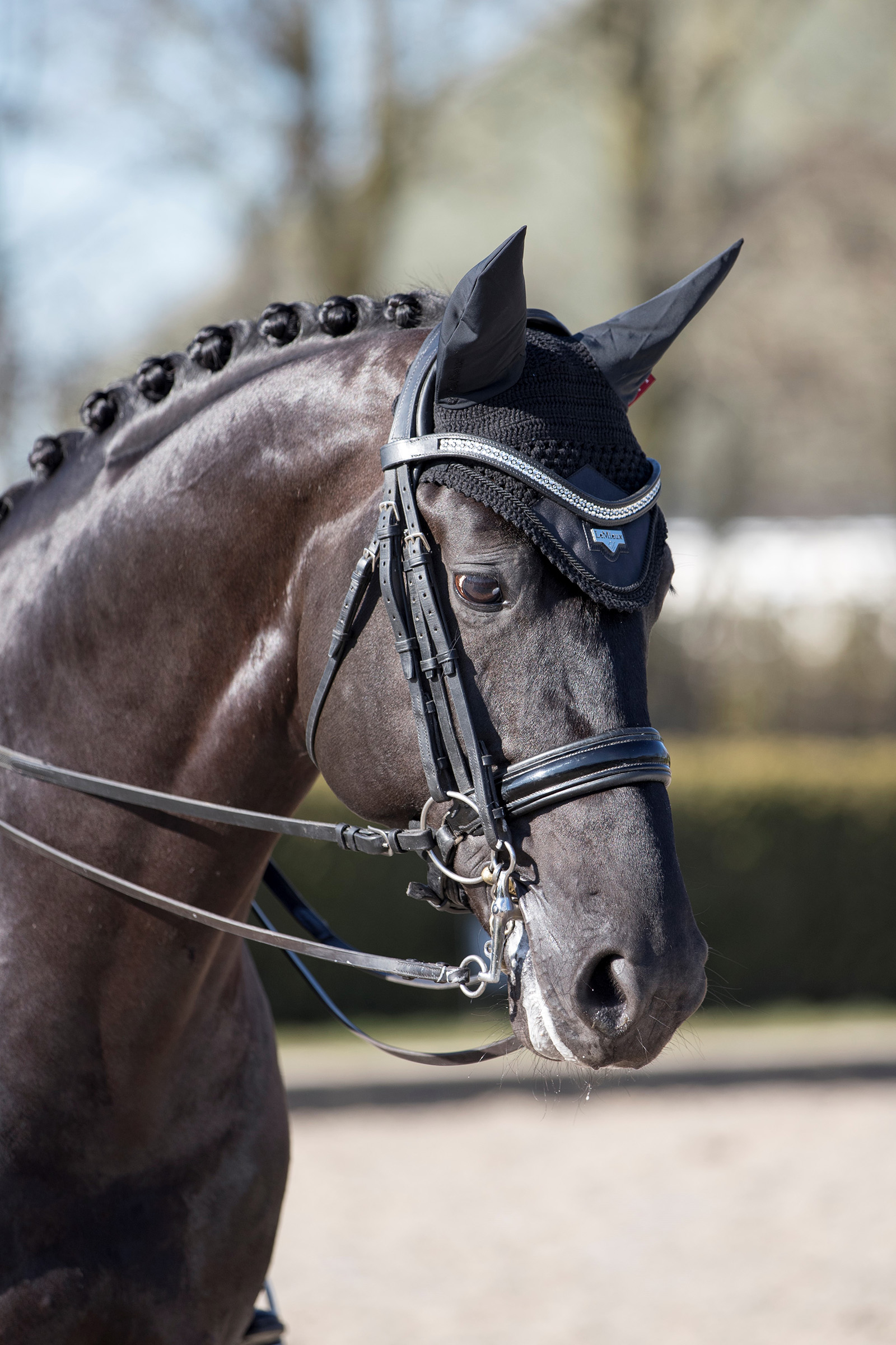 LeMieux Loire korvahuppu