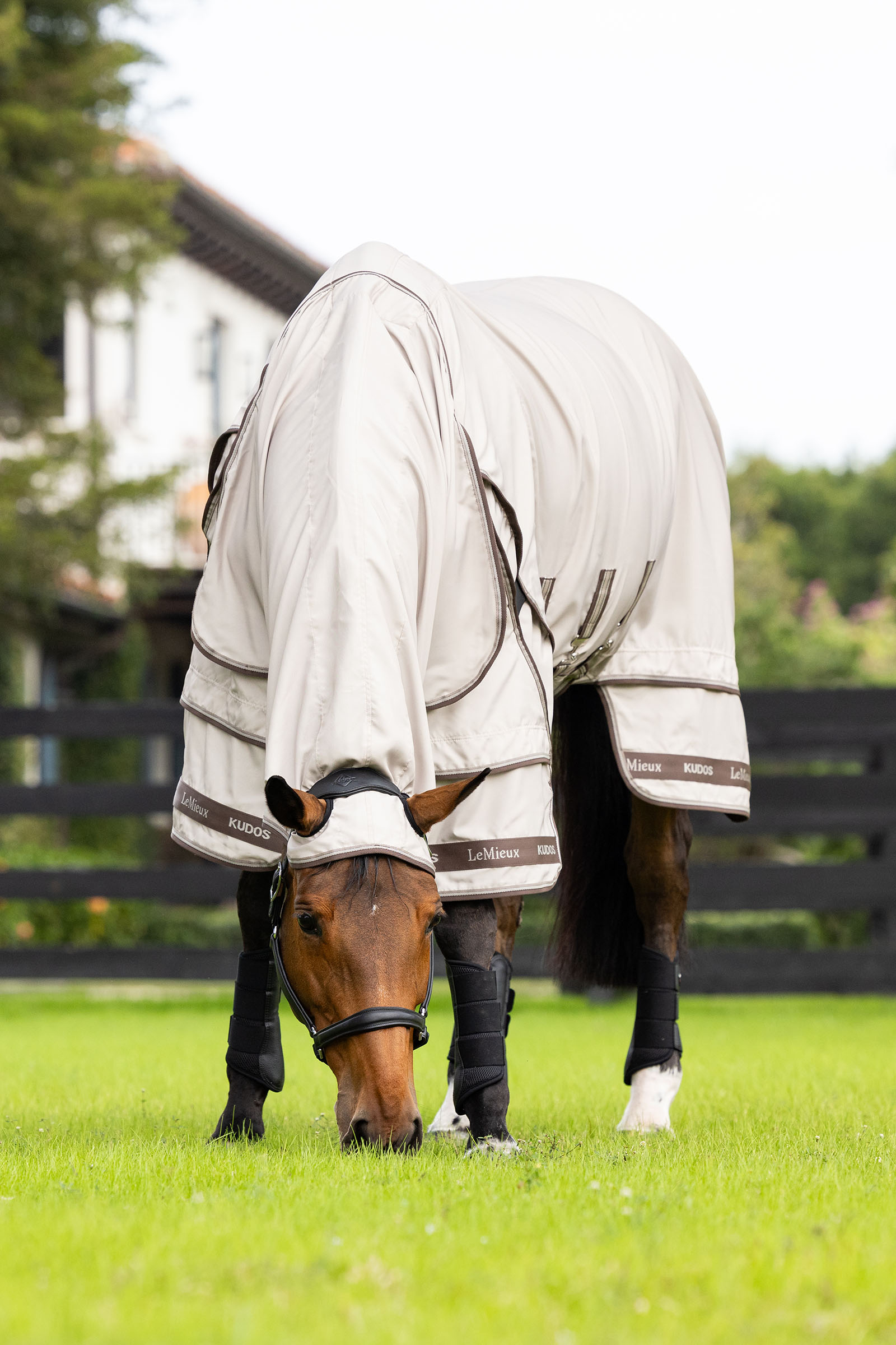 LeMieux Kudos kesäihottumaloimi