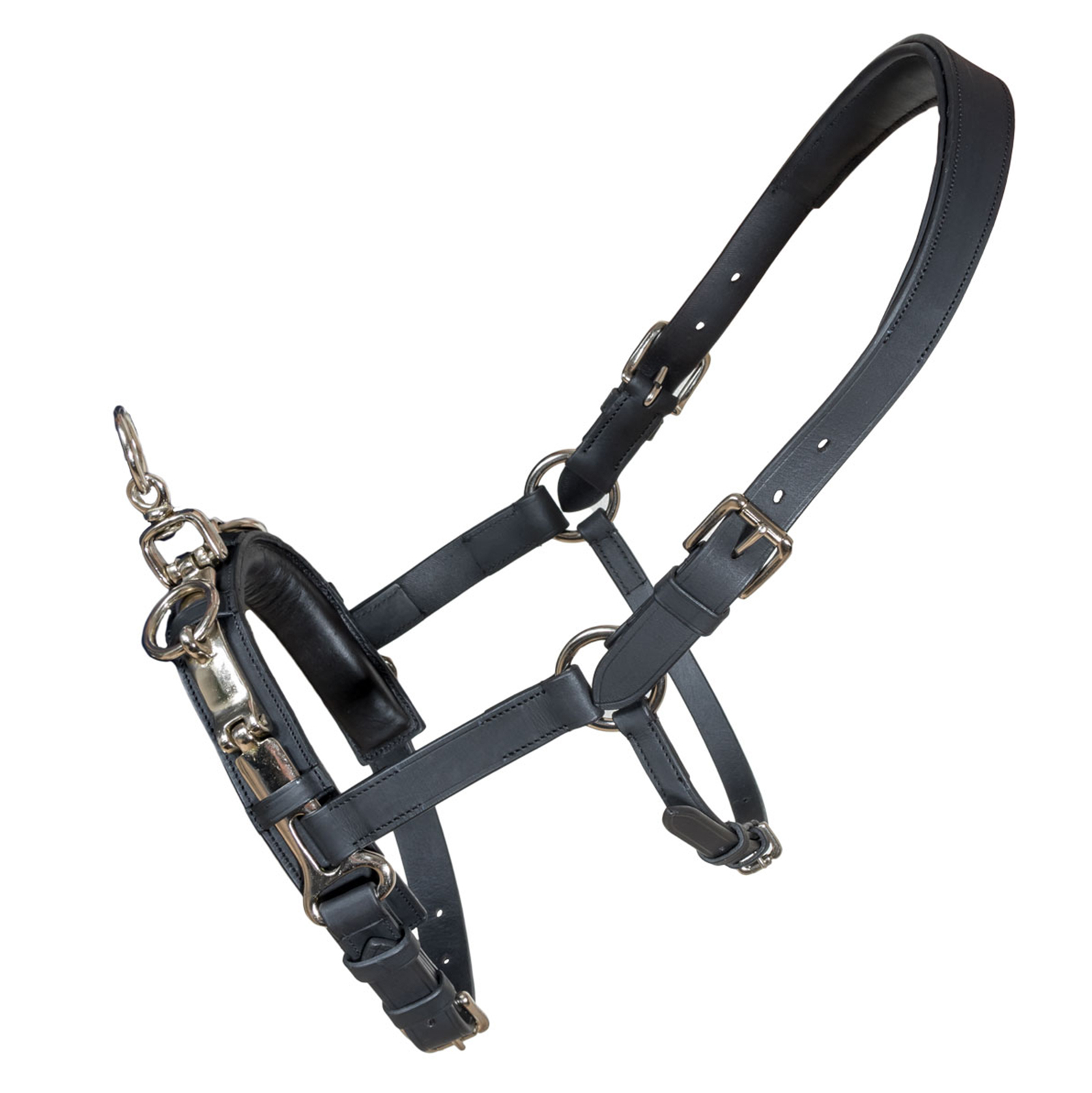 Karlslund Fengur Kappasuitsi