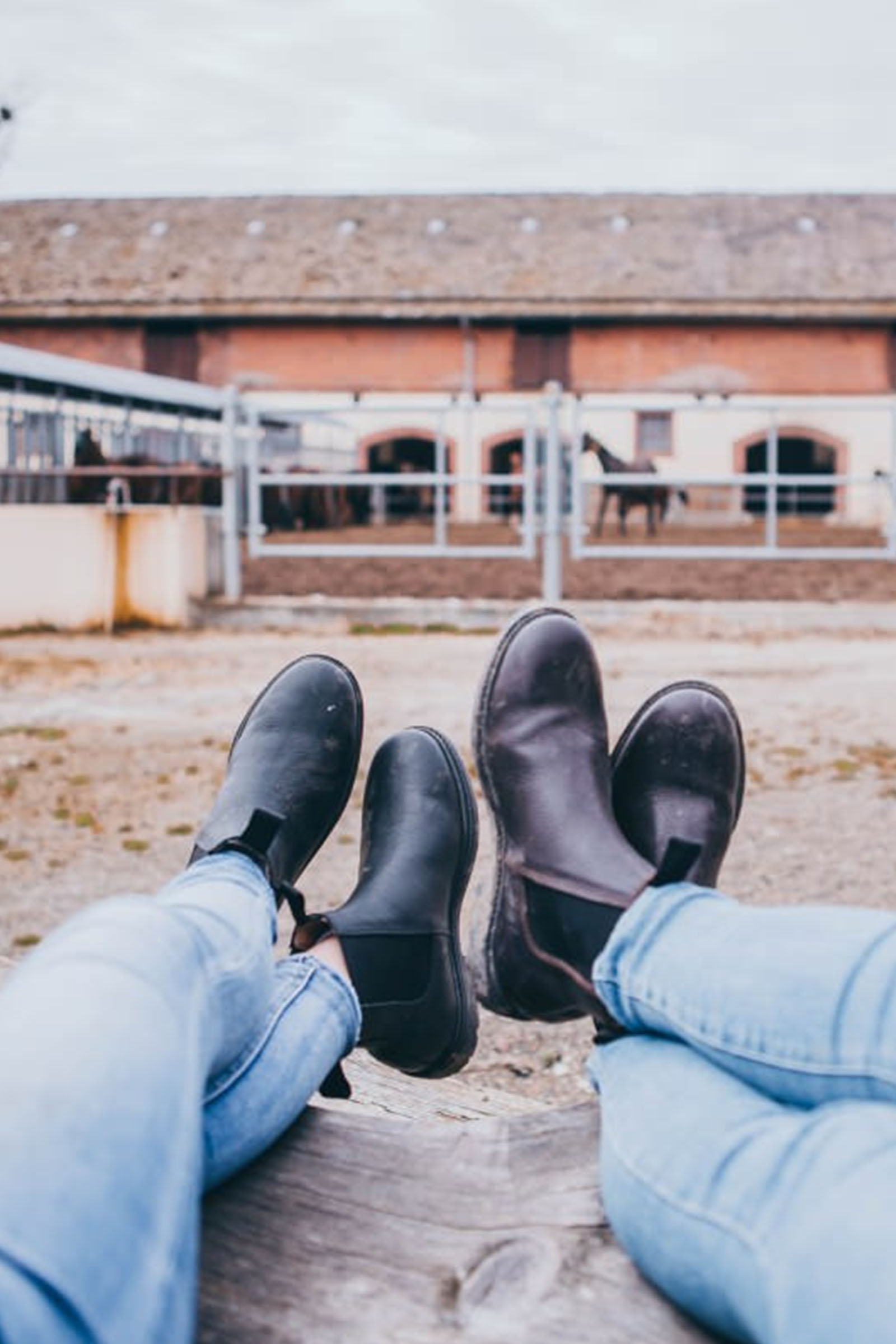 Suedwind Footwear 1888 Chelsea Jodhpur Kengät