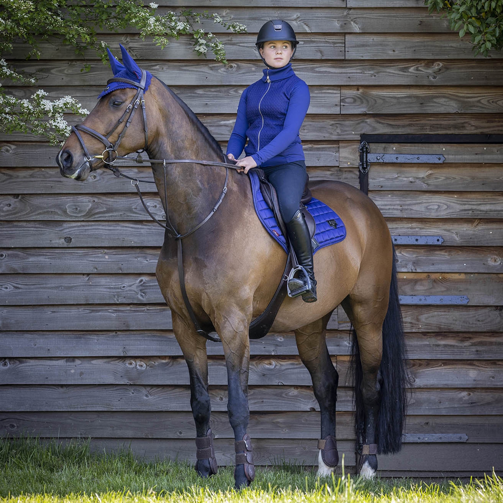 LeMieux Loire Classic Square CC Estesatulahuopa