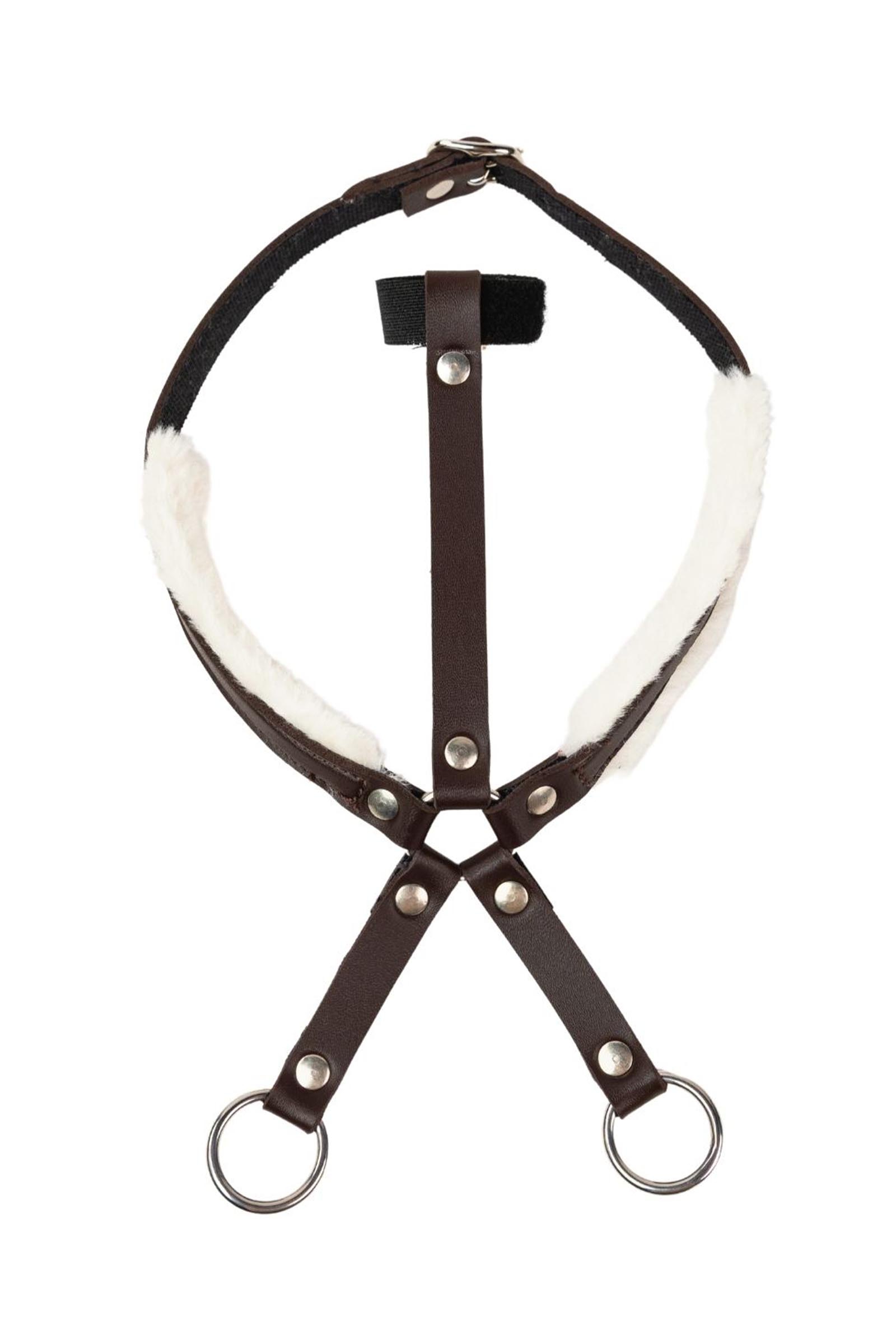 Brown My Hobby Horse martingaali