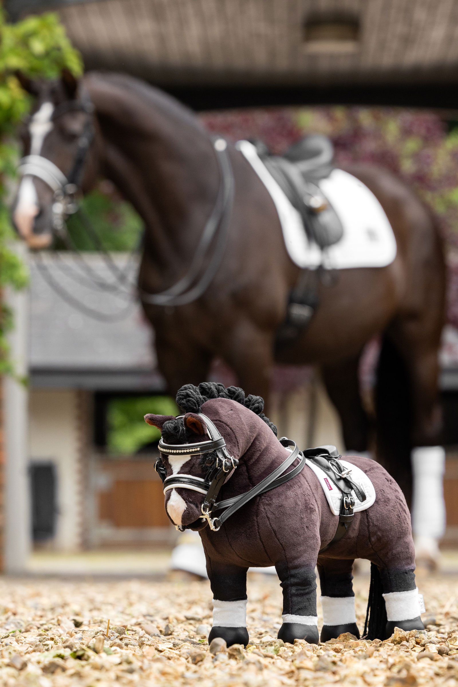 LeMieux Toy Pony kaksoiskuolain turpahihnalla