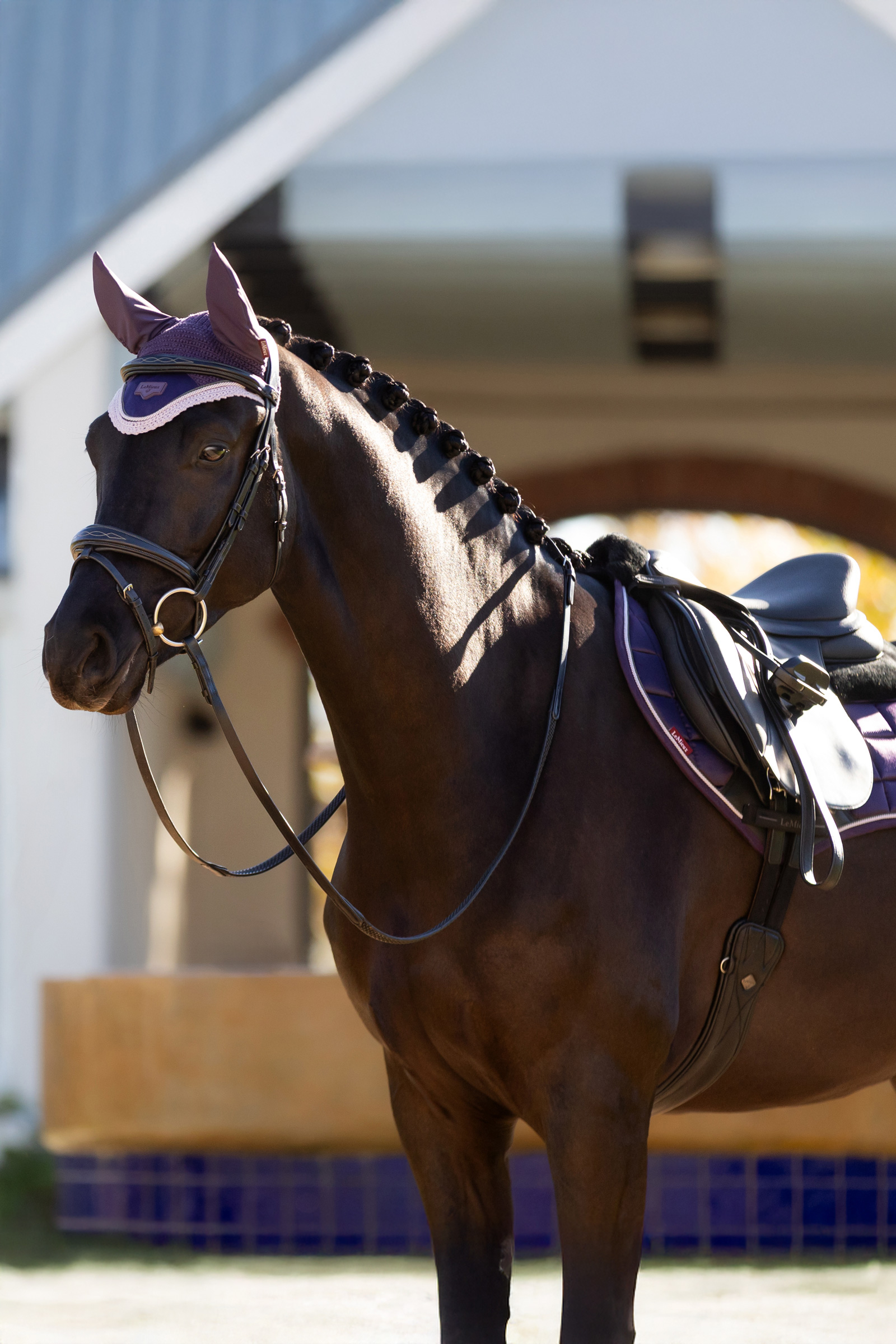 LeMieux Merino+ Loire klassinen Close Contact satulahuopa