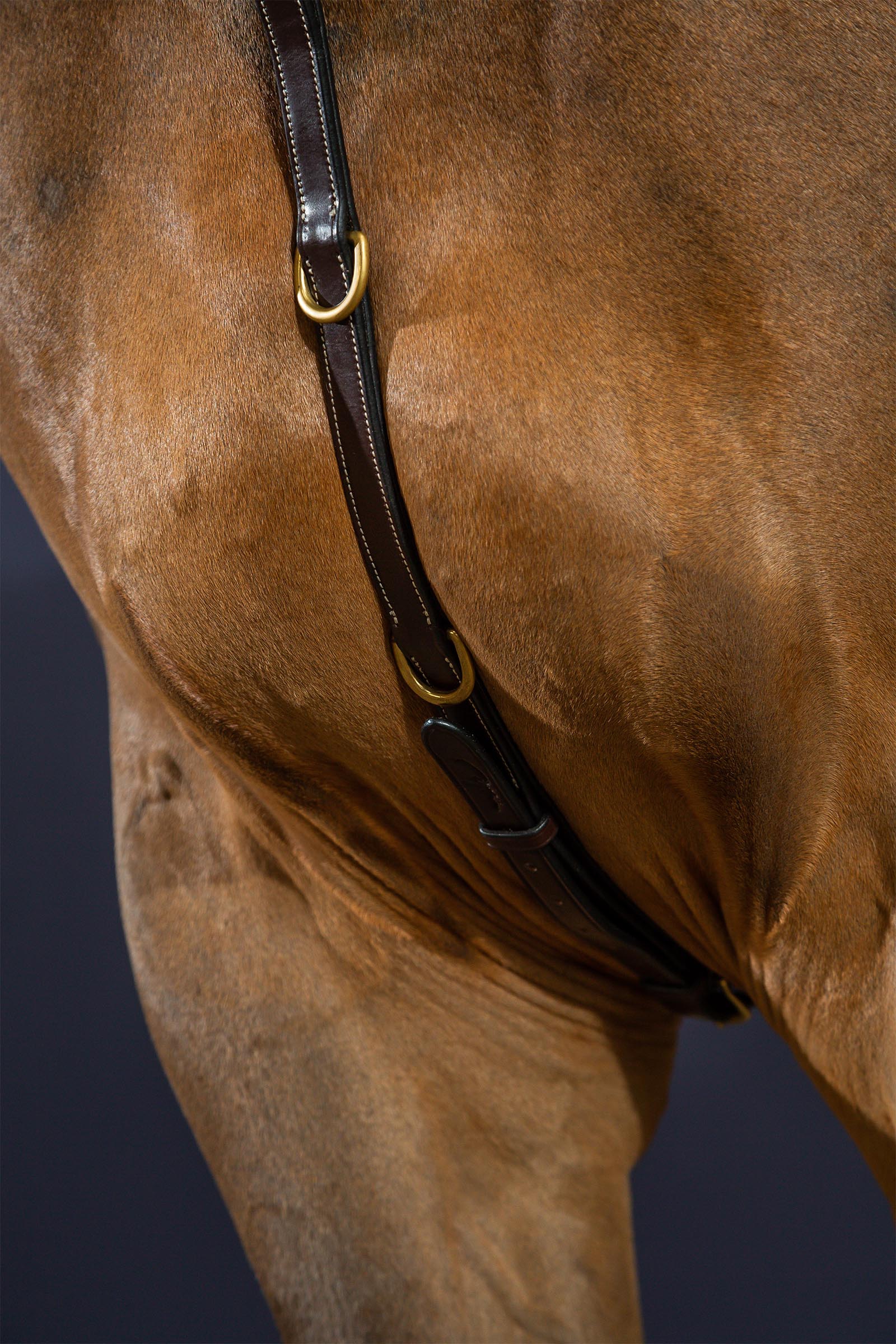 Dy'on D Collection rintaremmi sillalla