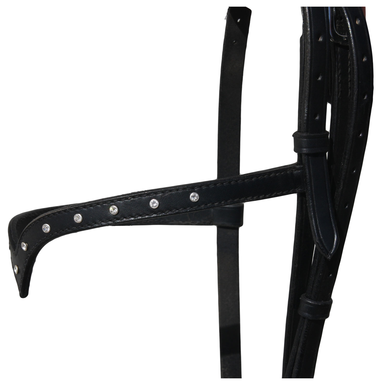 Karlslund Stjarni niskahihna otsapanta