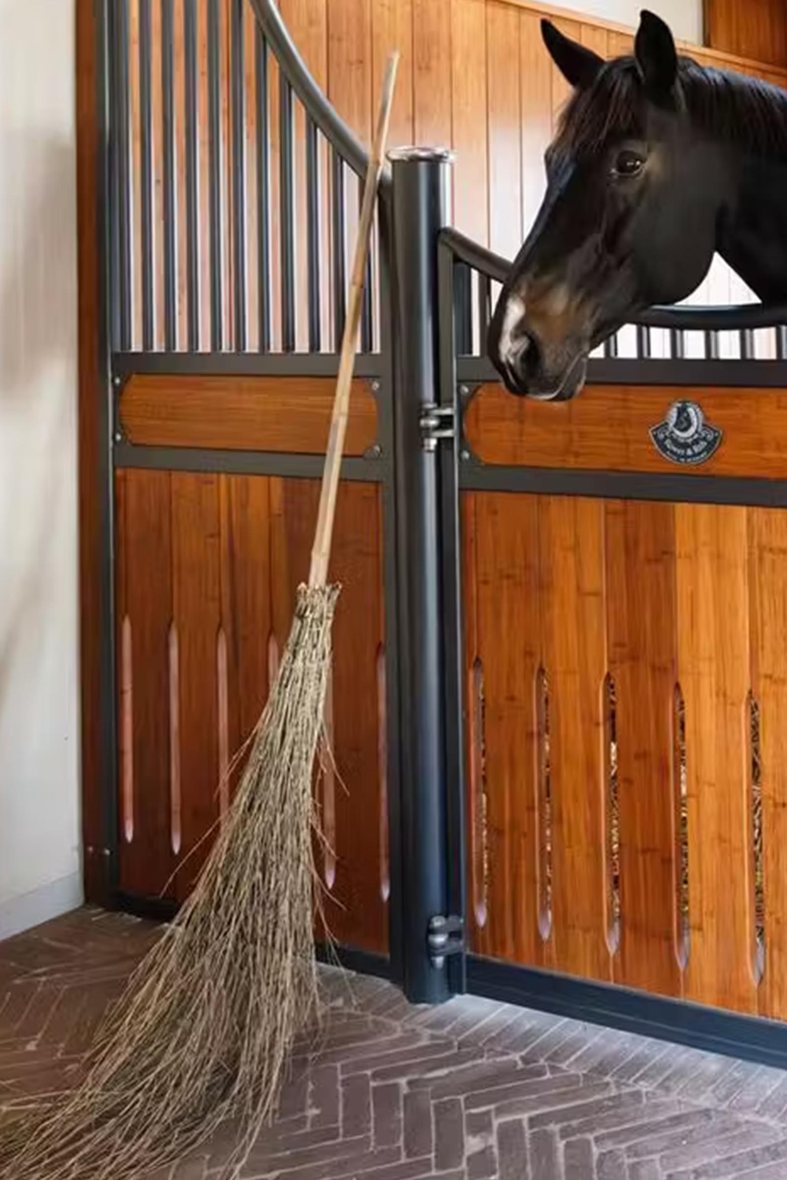 Grooming Deluxe bambuluuta  