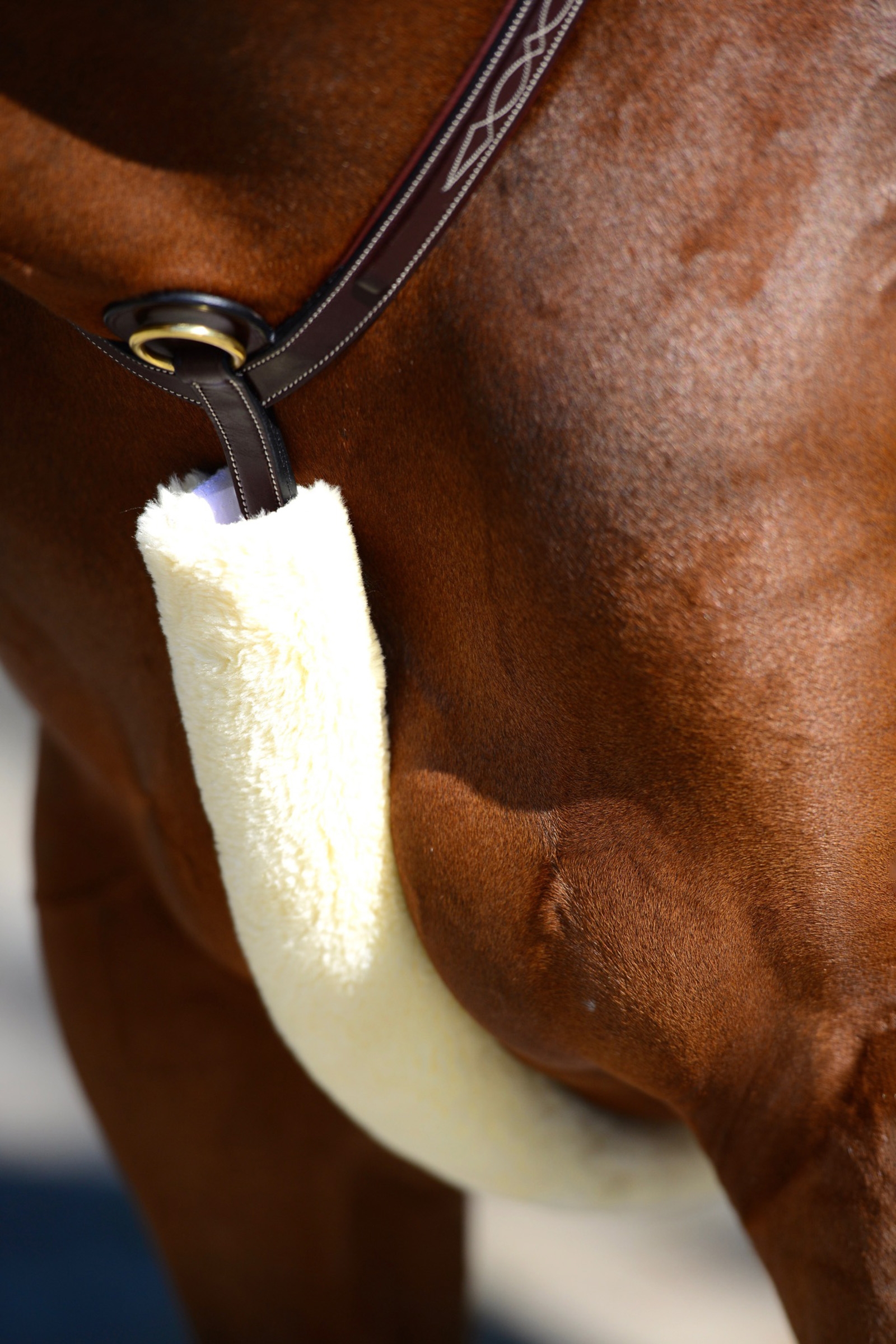 Natural Kentucky Horsewear rintaremmin pehmuste lampaankarvasta