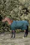 Kentucky Horsewear All Weather ulkoloimi, 160 g