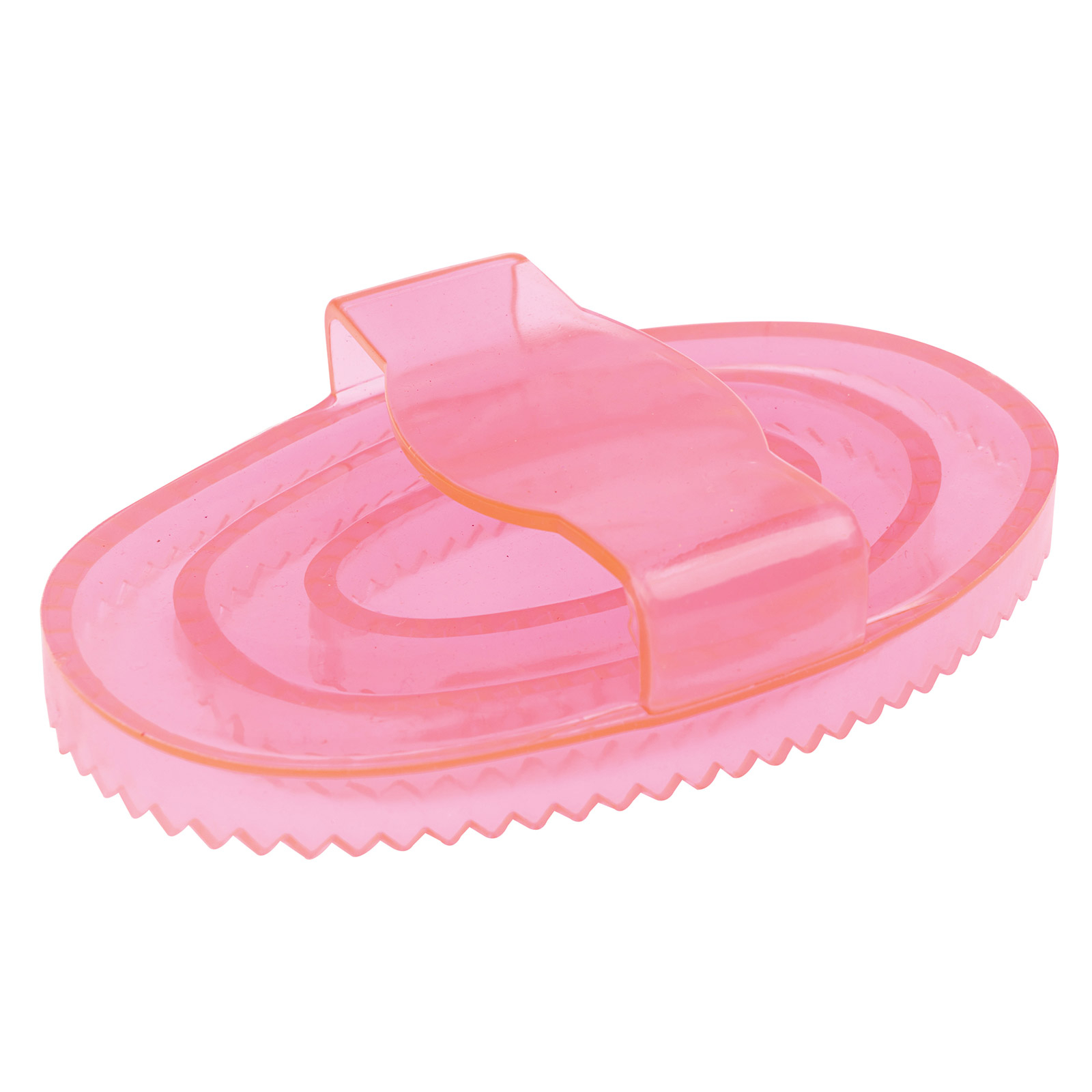 Hot Pink Roma Brights -suka