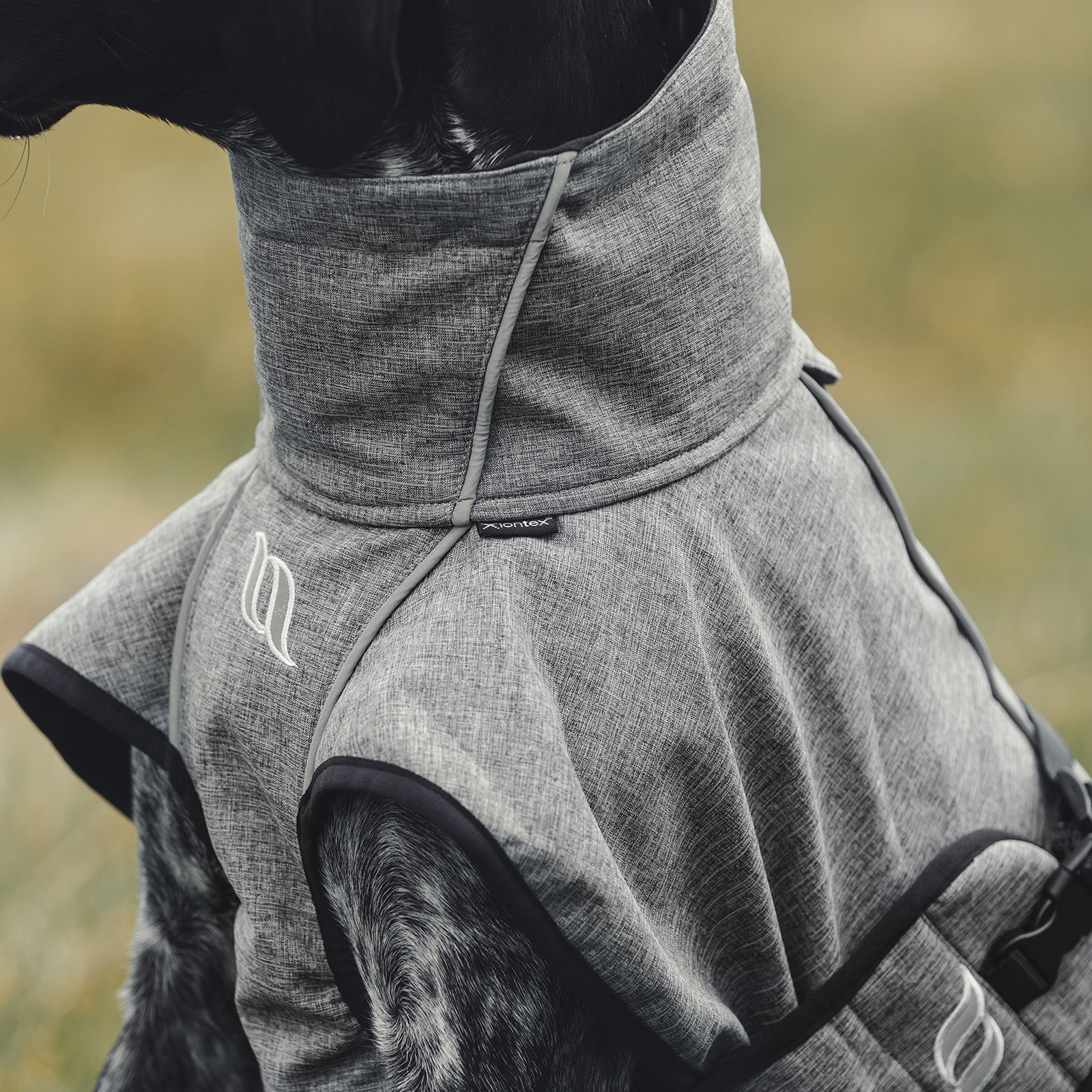 Back on Track Bark koiran jokasääntakki, 25-35 cm