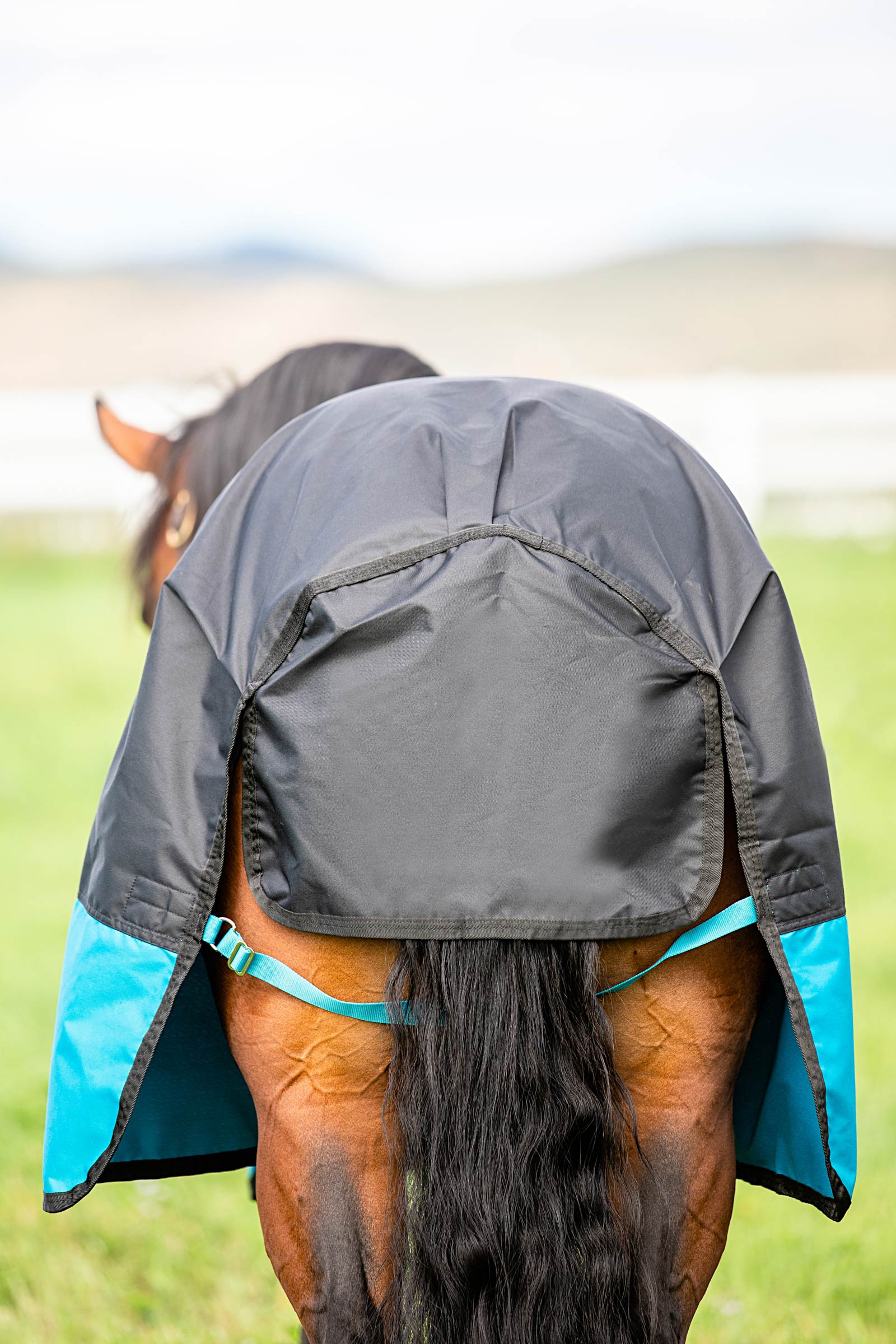 Horseware Mio ulkoloimi, 200 g