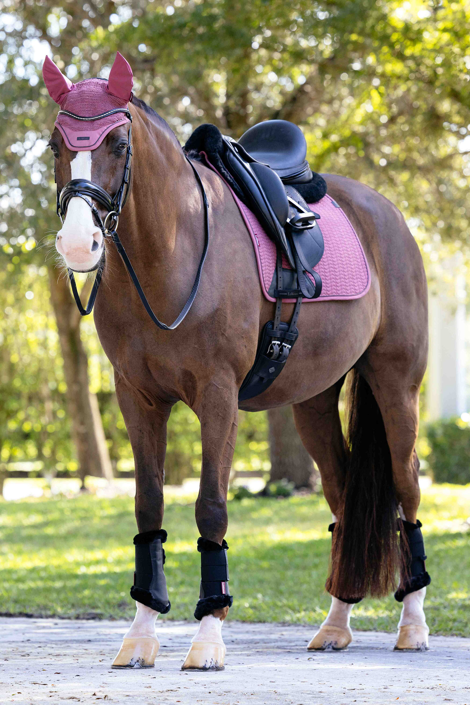 LeMieux Essence koulusatulan satulahuopa