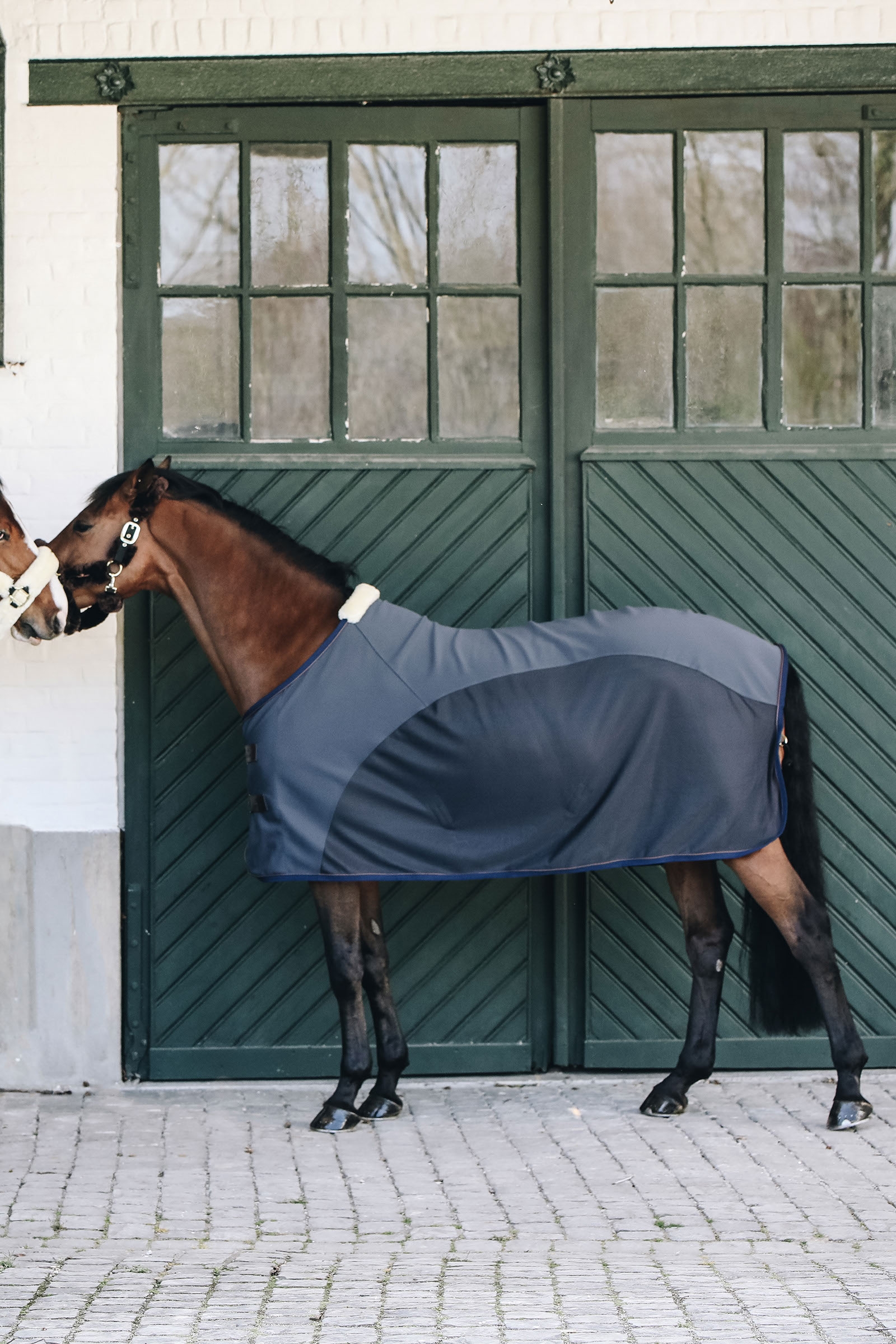 Softshell-loimi Kentucky Horsewear Cooler