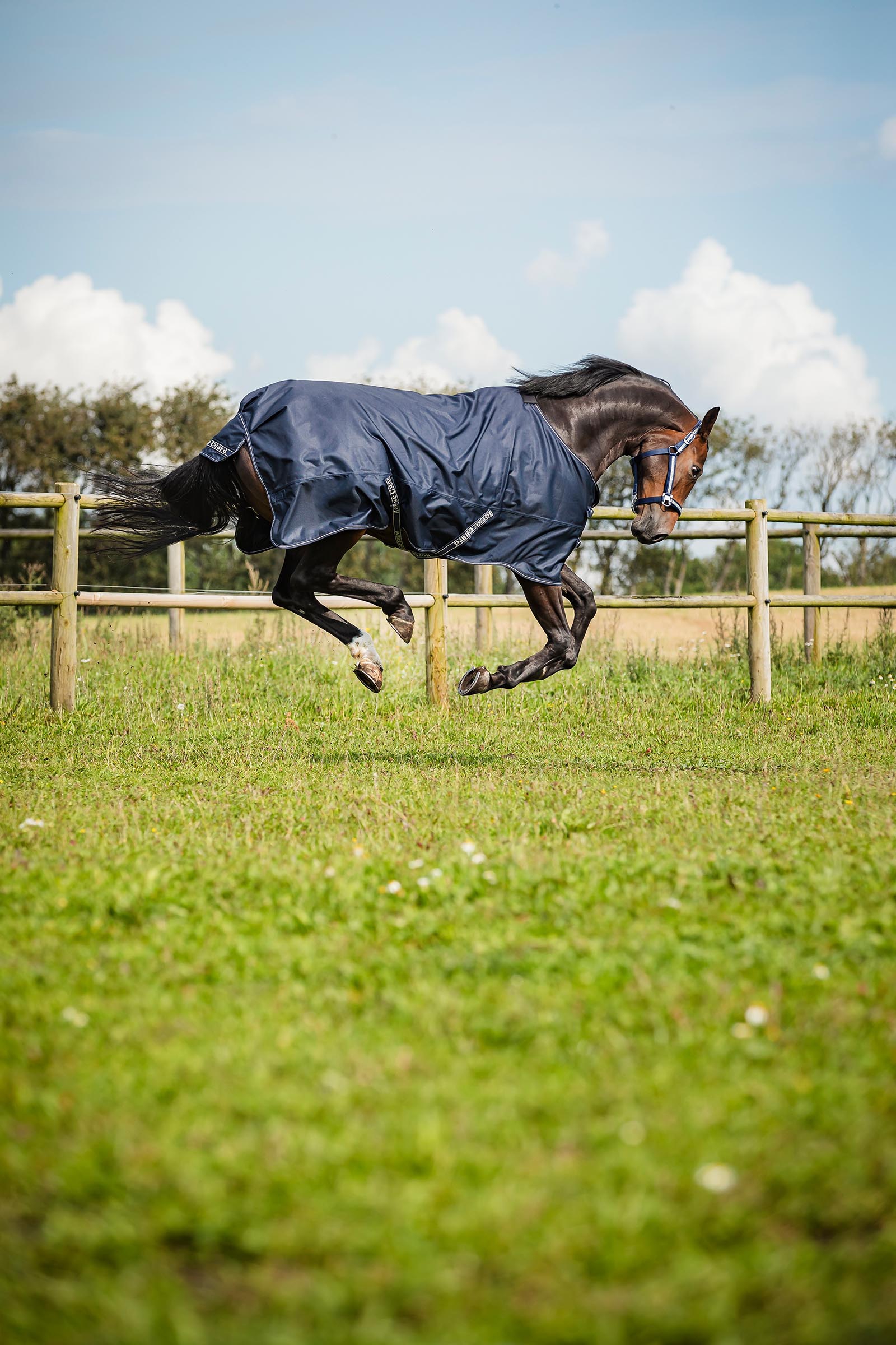 HorseGuard Landon 1200D Turnout Rug Standard Neck, 0 g