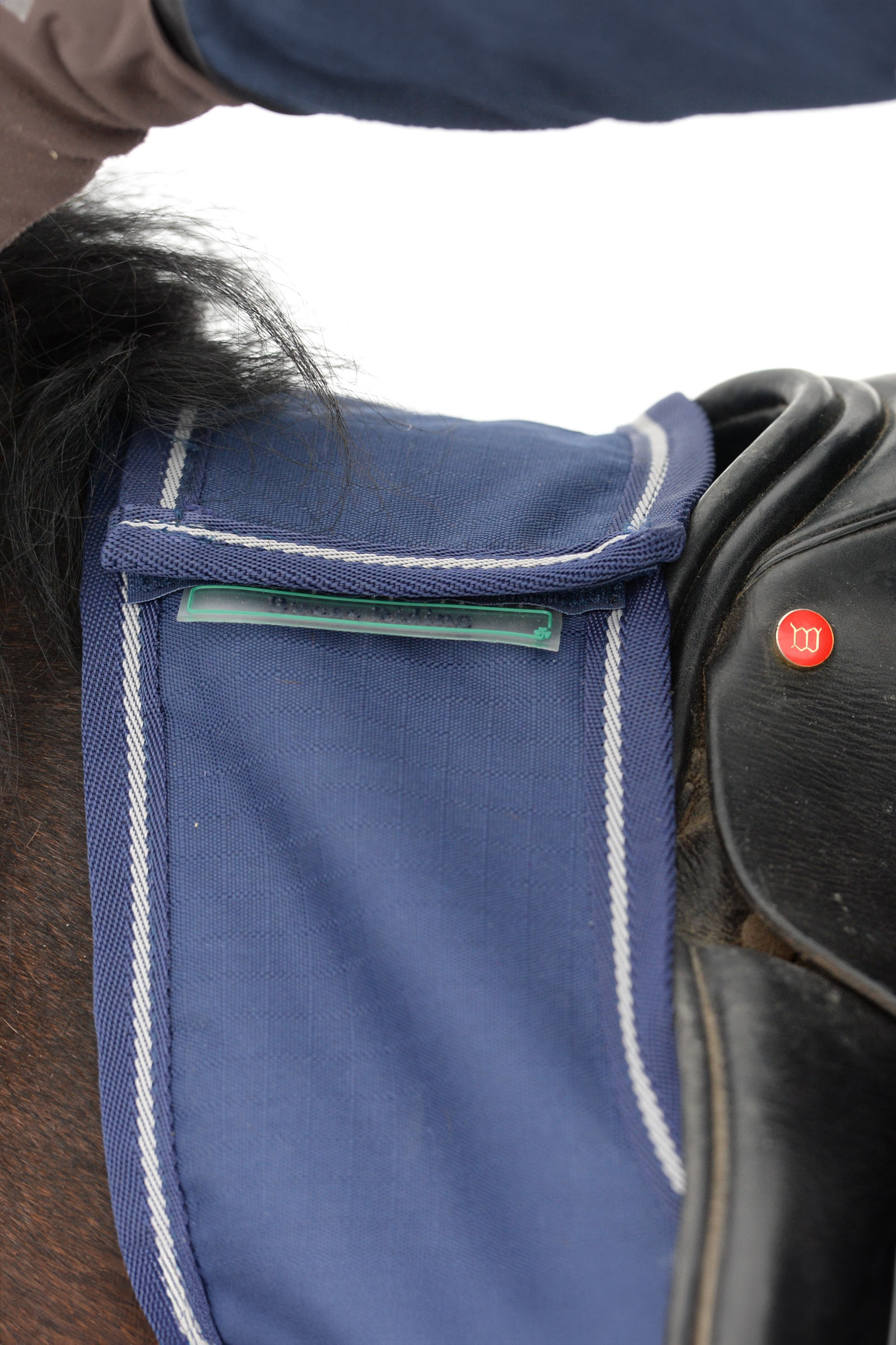 Bucas ratsastusloimi