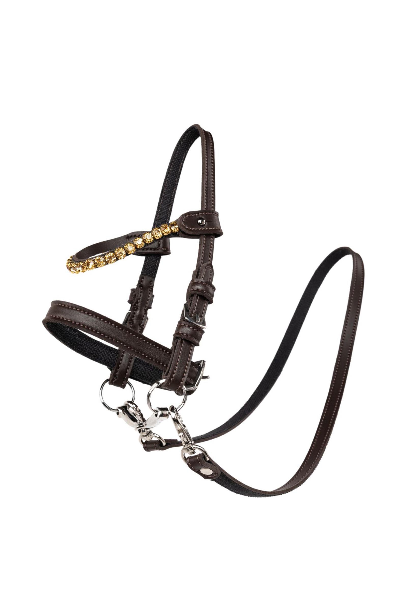 My Hobby Horse nahkasuitset kivill&auml;