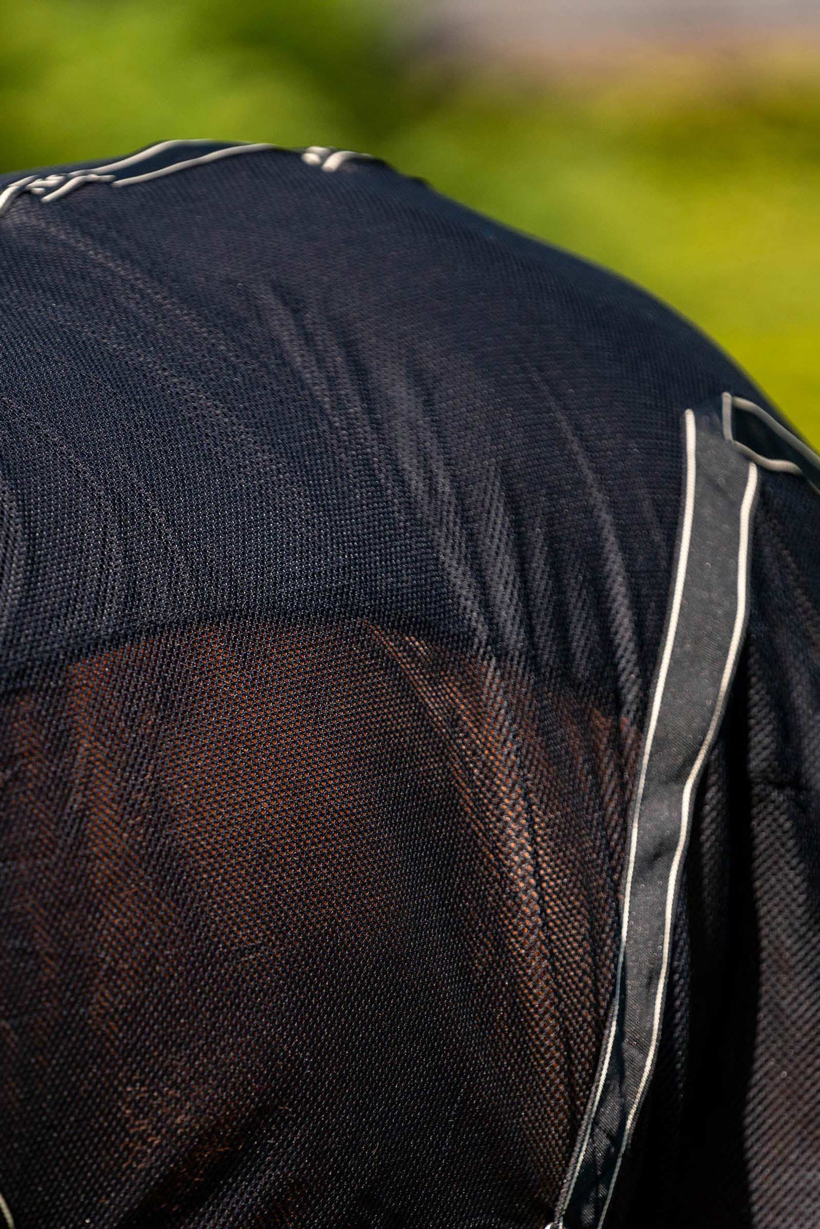 Back on Track Sienna hikiloimi