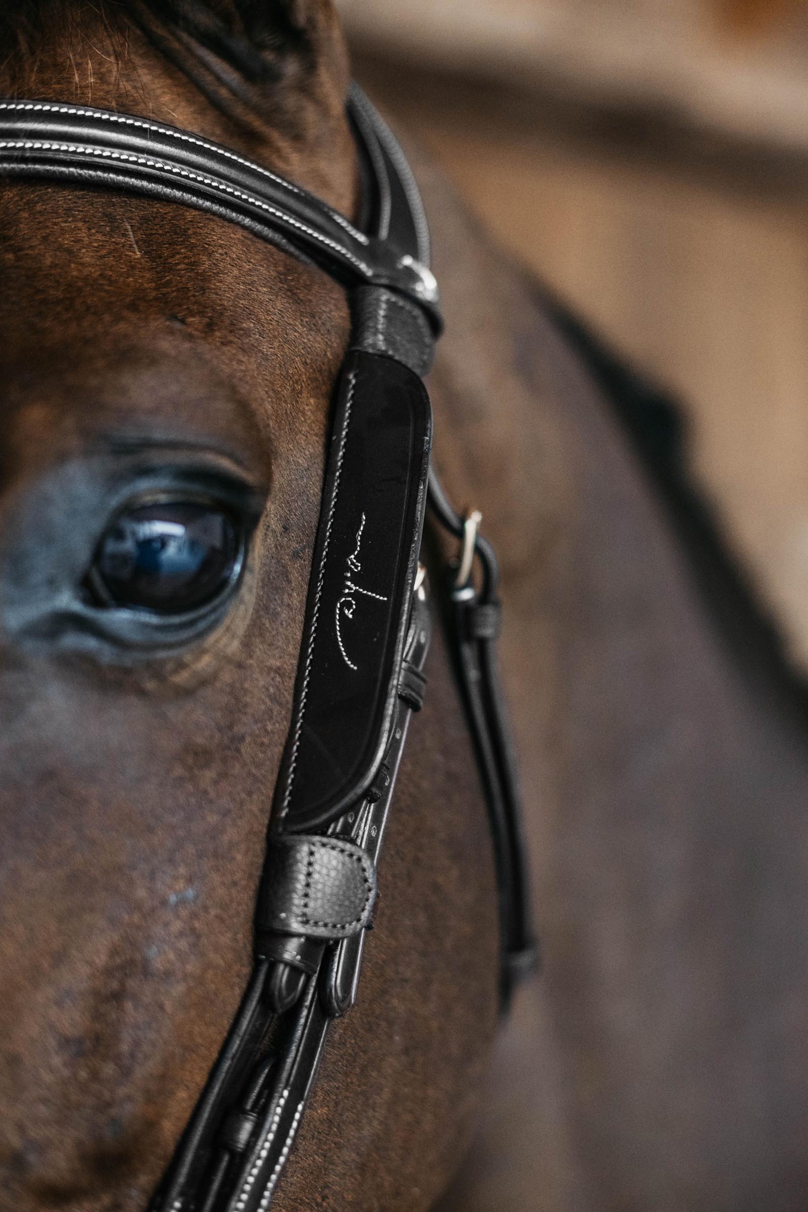 Dy'on silm&auml;laput koristetikkauksella  