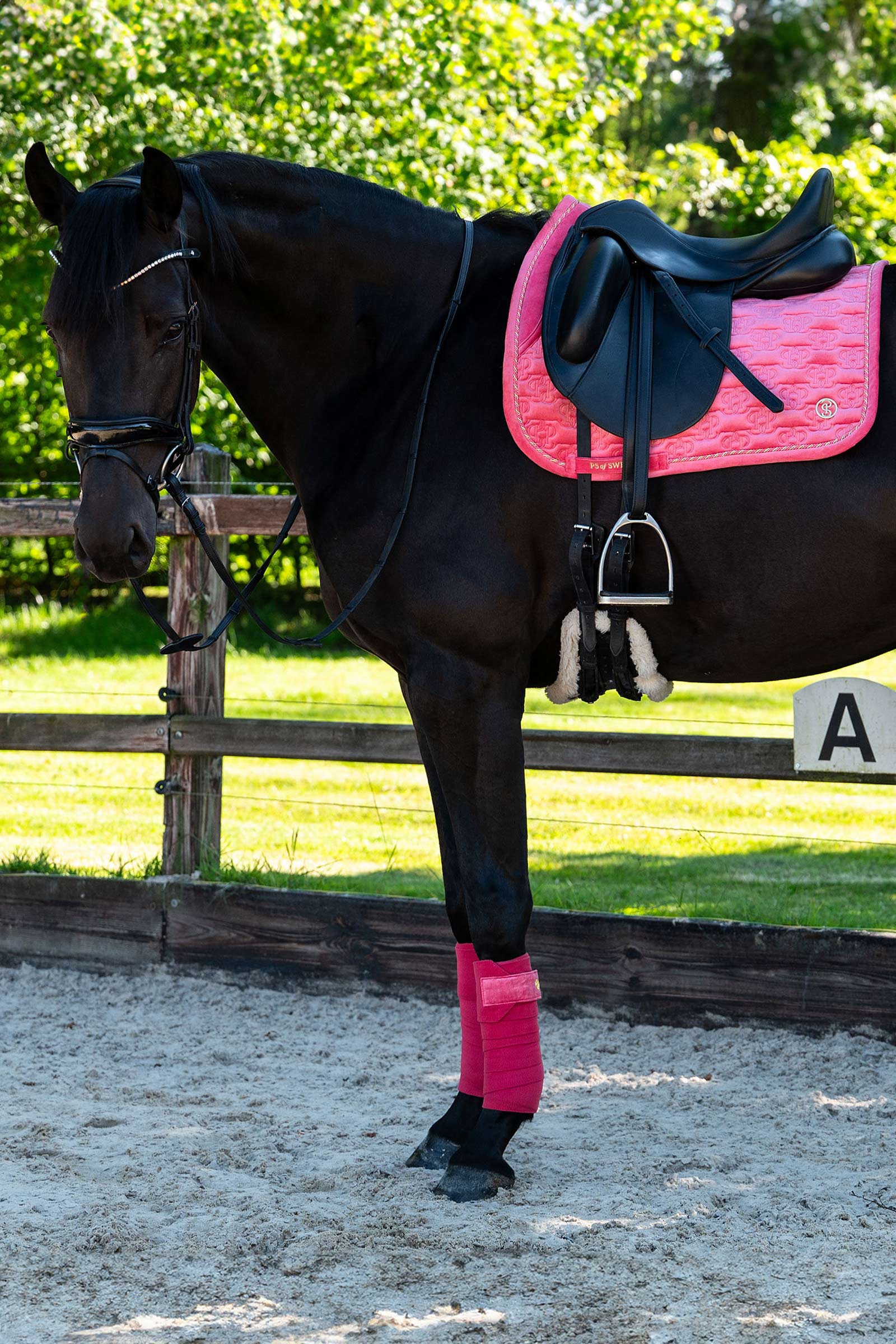 PS of Sweden satulahuovat Velvet Monogram kouluratsastus