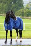 Horseware Rambo Cosy -fleeceloimi